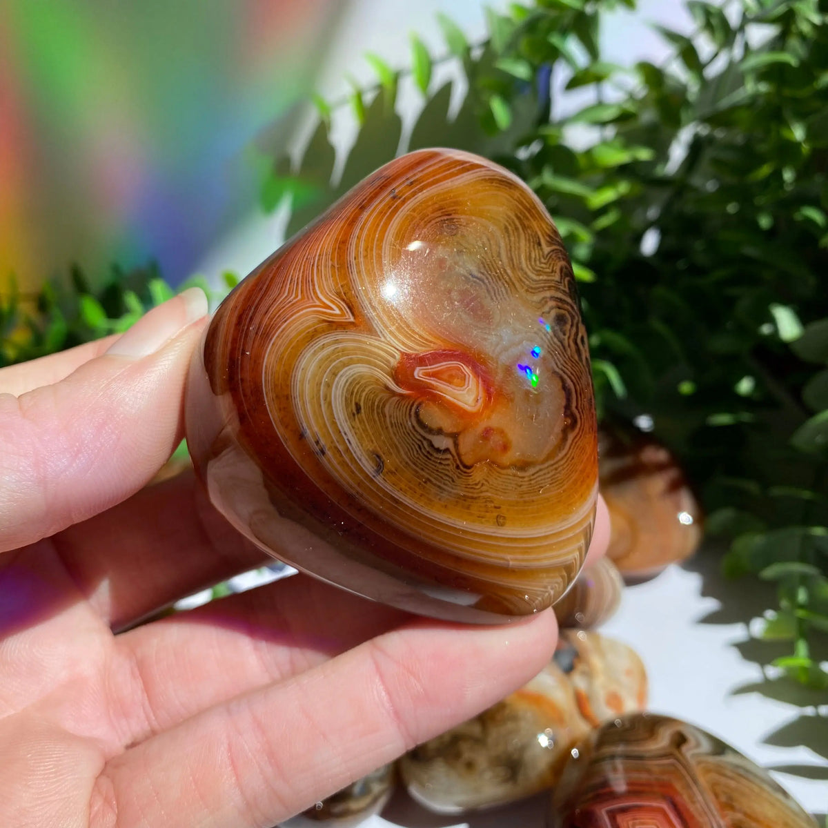 Sardonyx (Carnelian X Onyx) Palm Stone for Passion & Creativity