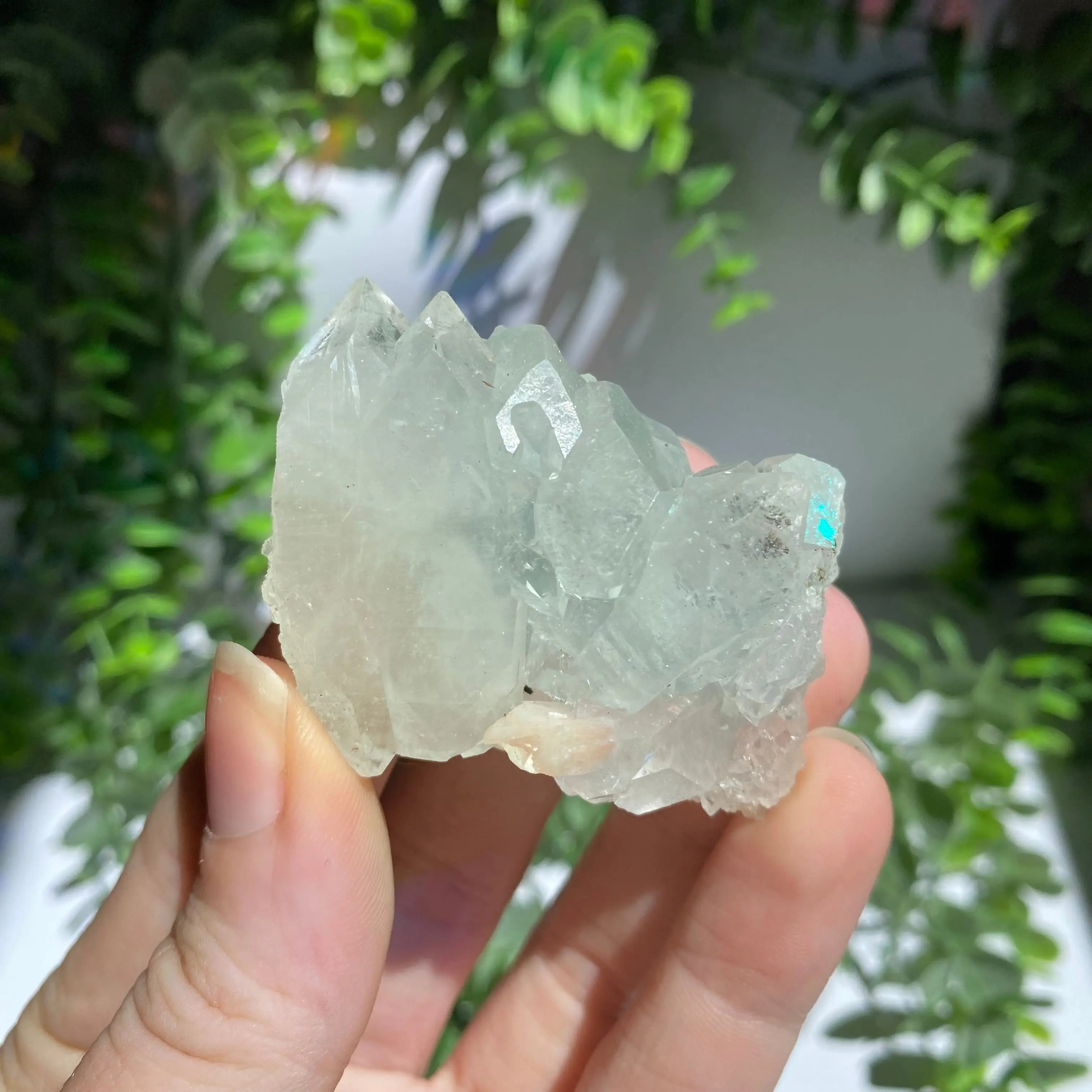 Zeolite Cluster Arabella Crystals