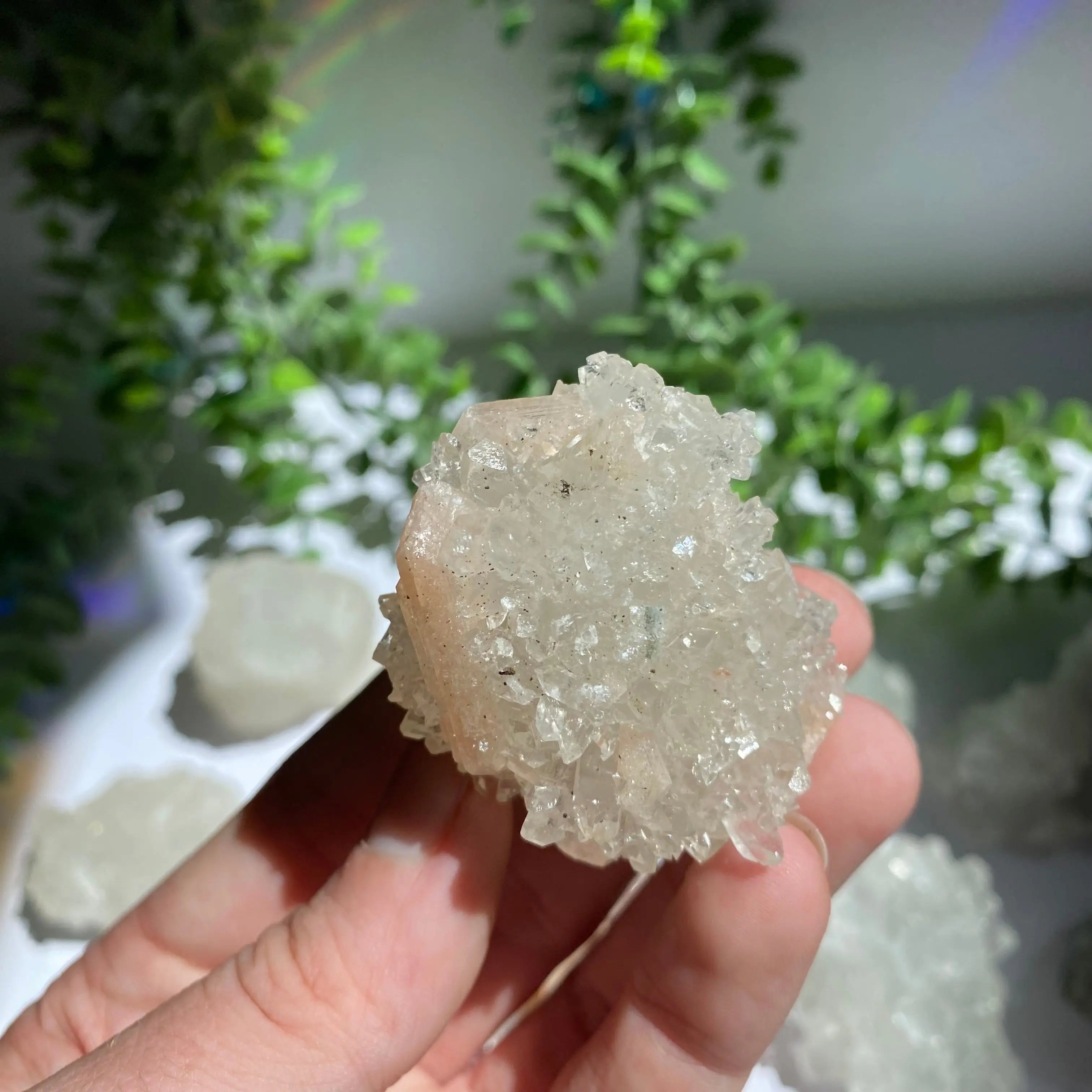 Zeolite Cluster Arabella Crystals