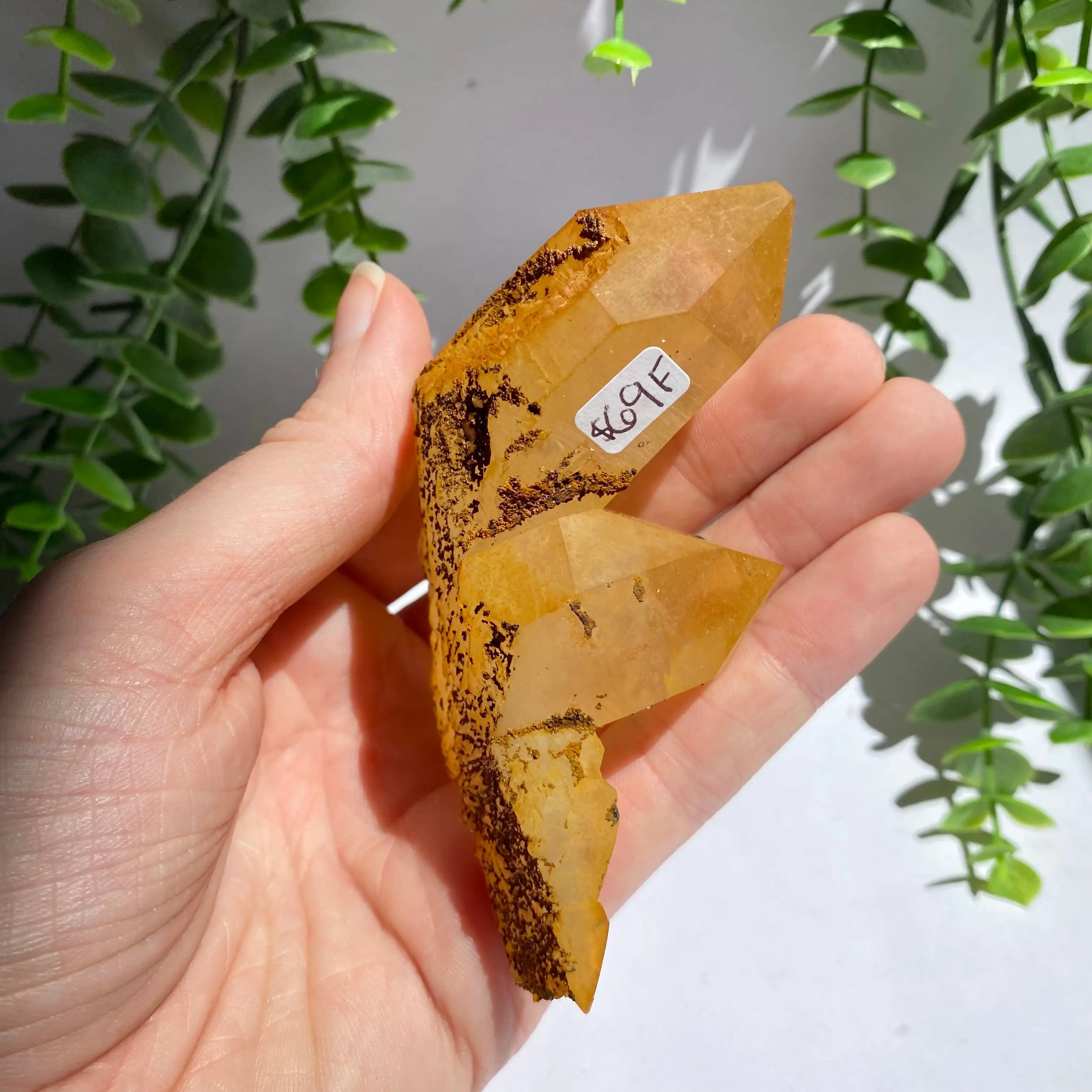 Golden Healer Cluster Arabella Crystals