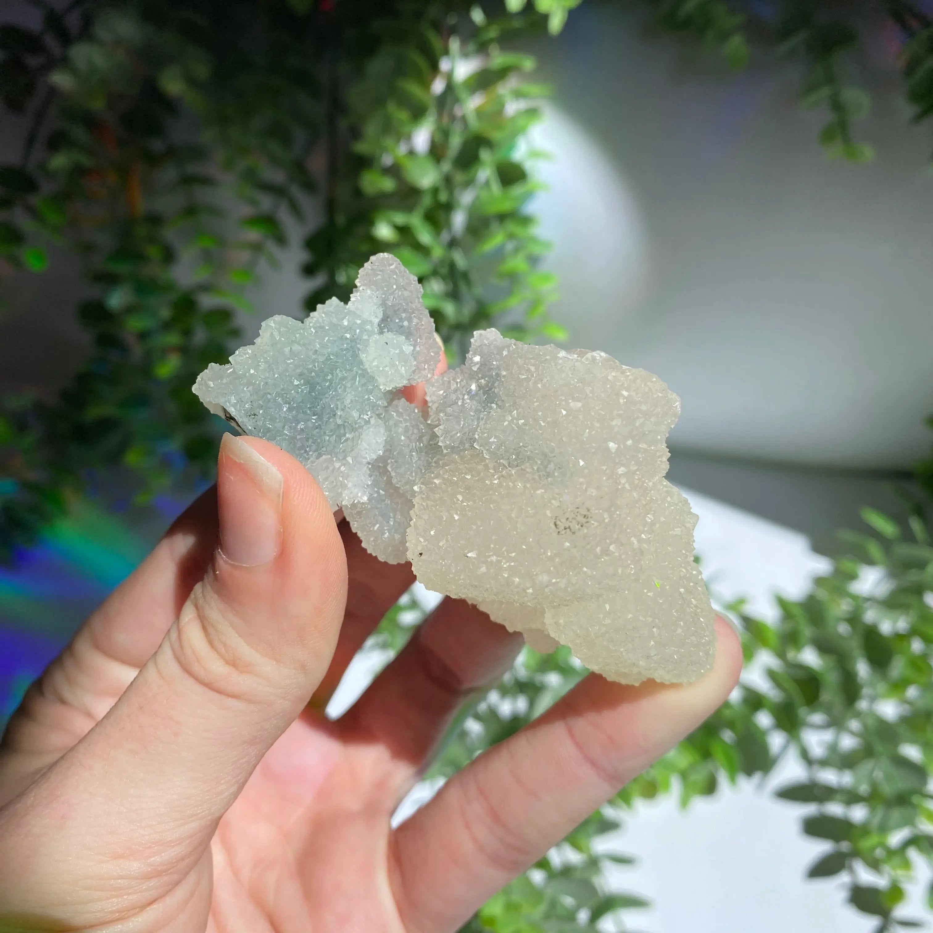 Zeolite Cluster Arabella Crystals