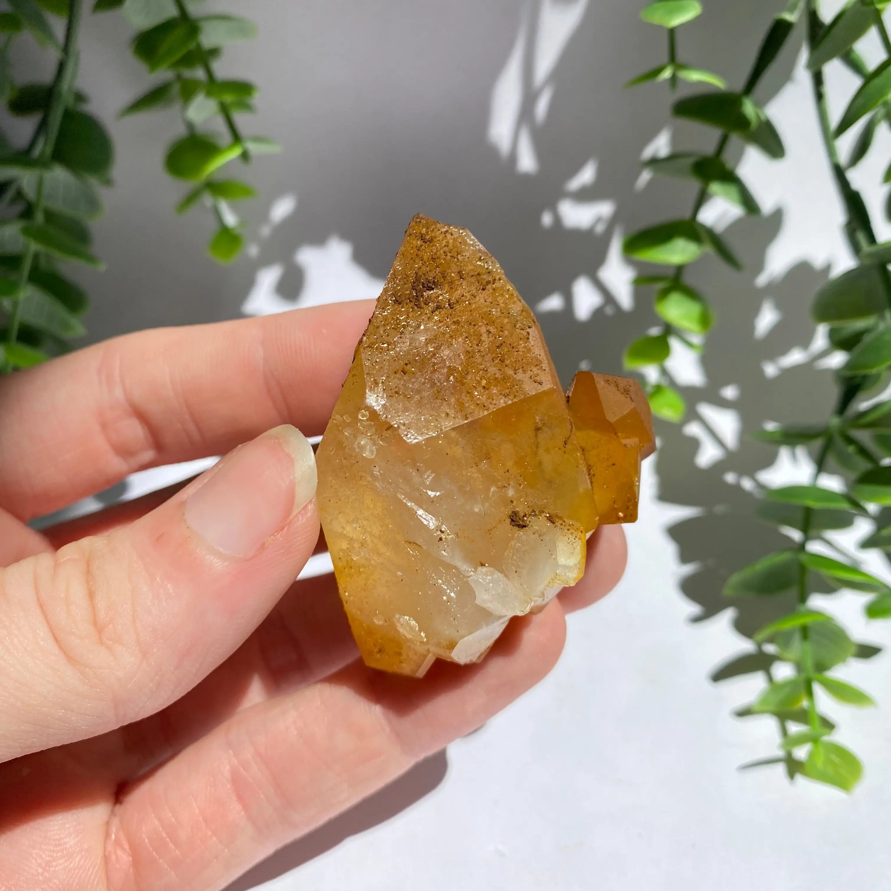 Golden Healer Cluster Arabella Crystals