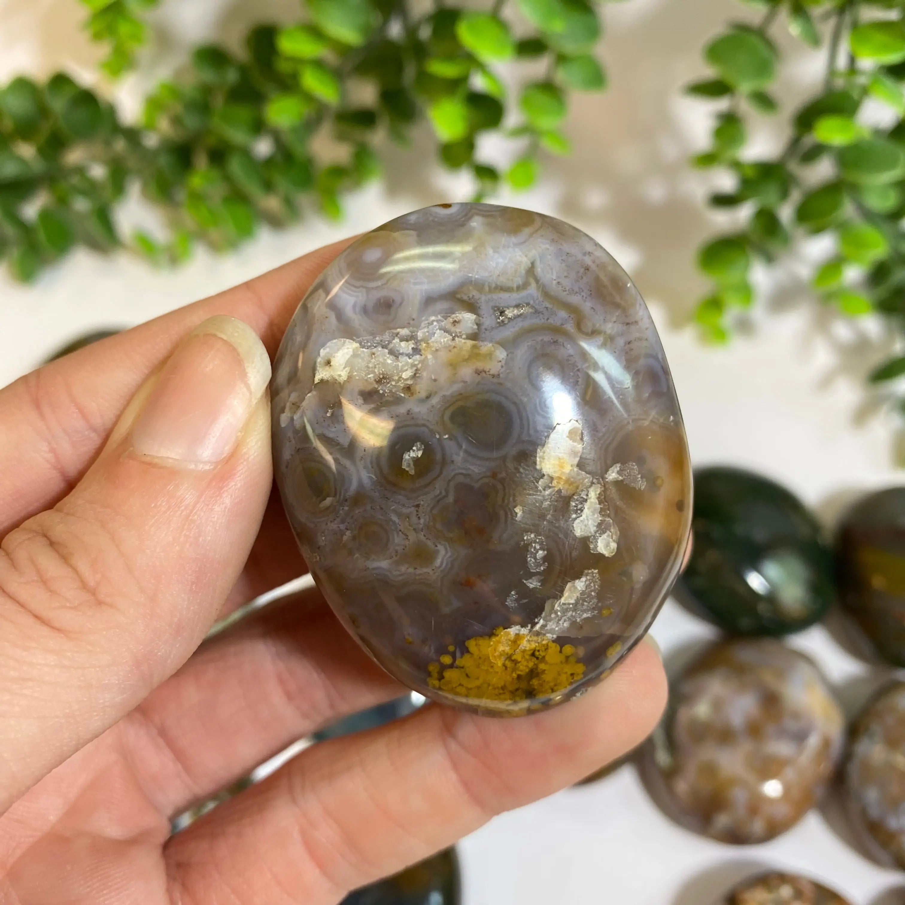 Ocean Jasper Palm Stone Arabella Crystals