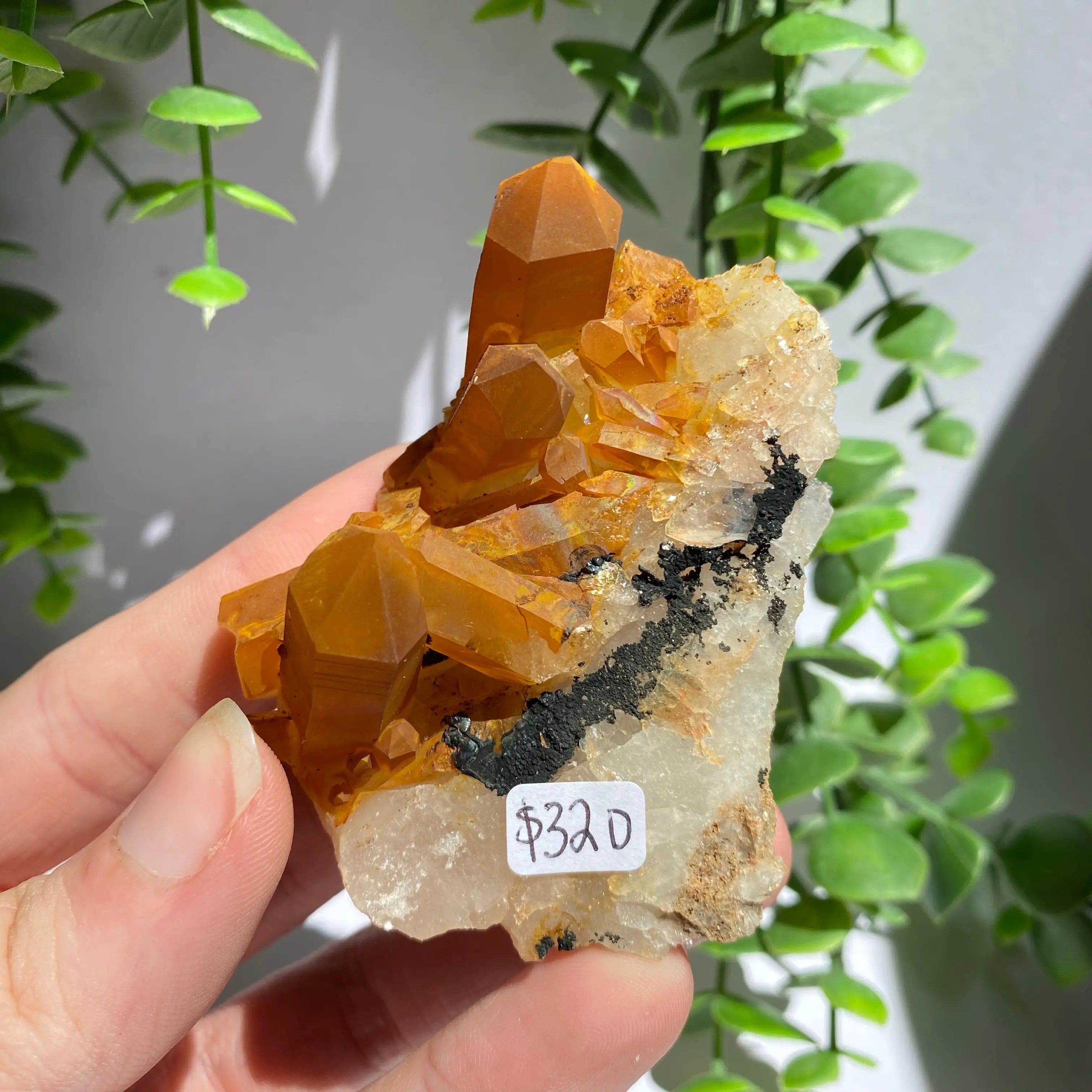 Golden Healer Cluster Arabella Crystals