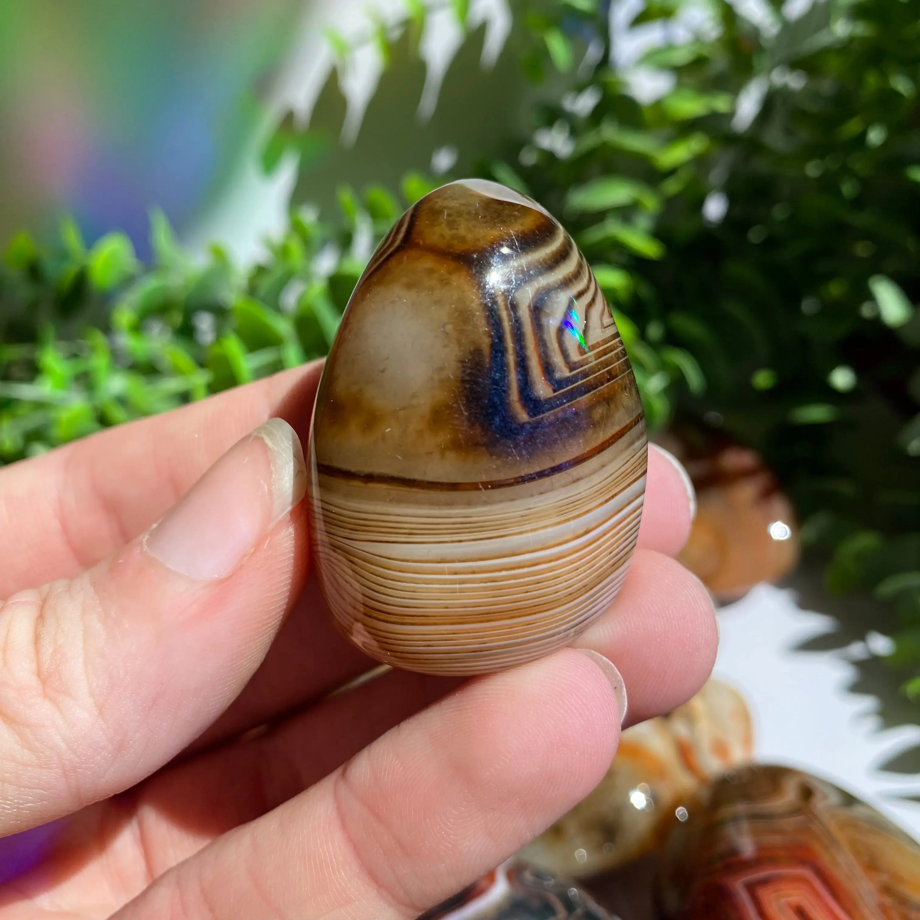 Sardonyx (Carnelian X Onyx) Palm Stone for Passion & Creativity