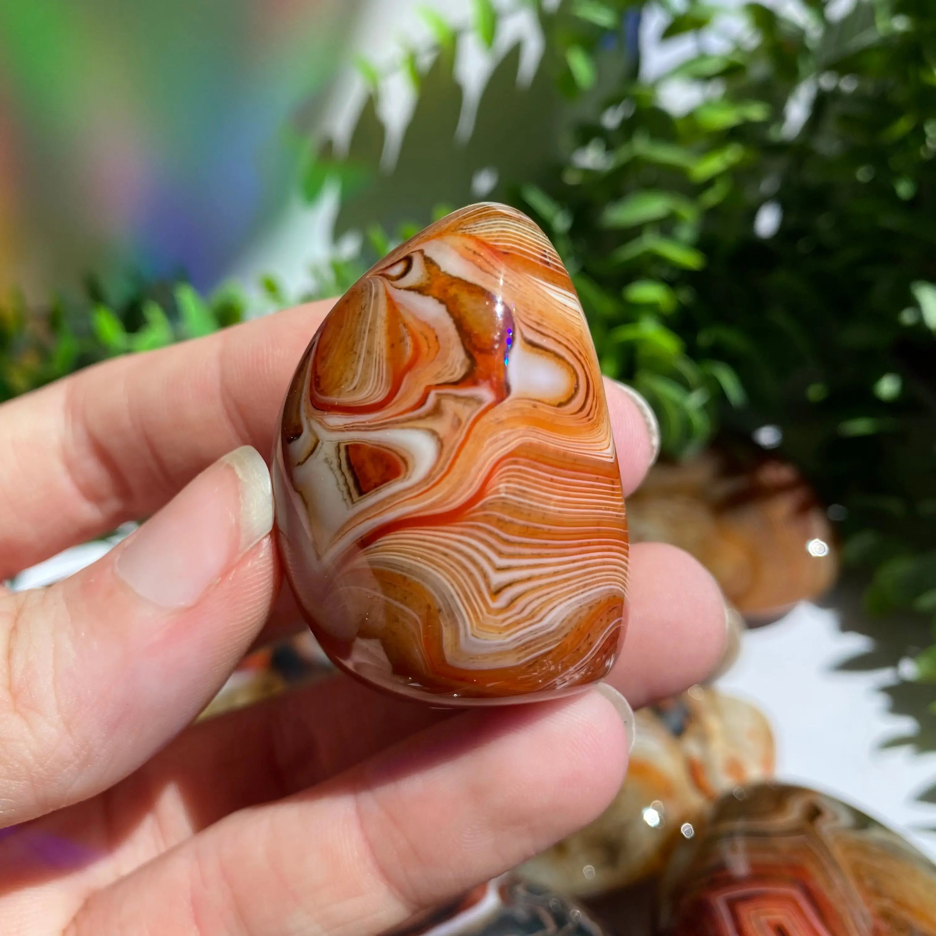 Sardonyx (Carnelian X Onyx) Palm Stone for Passion & Creativity