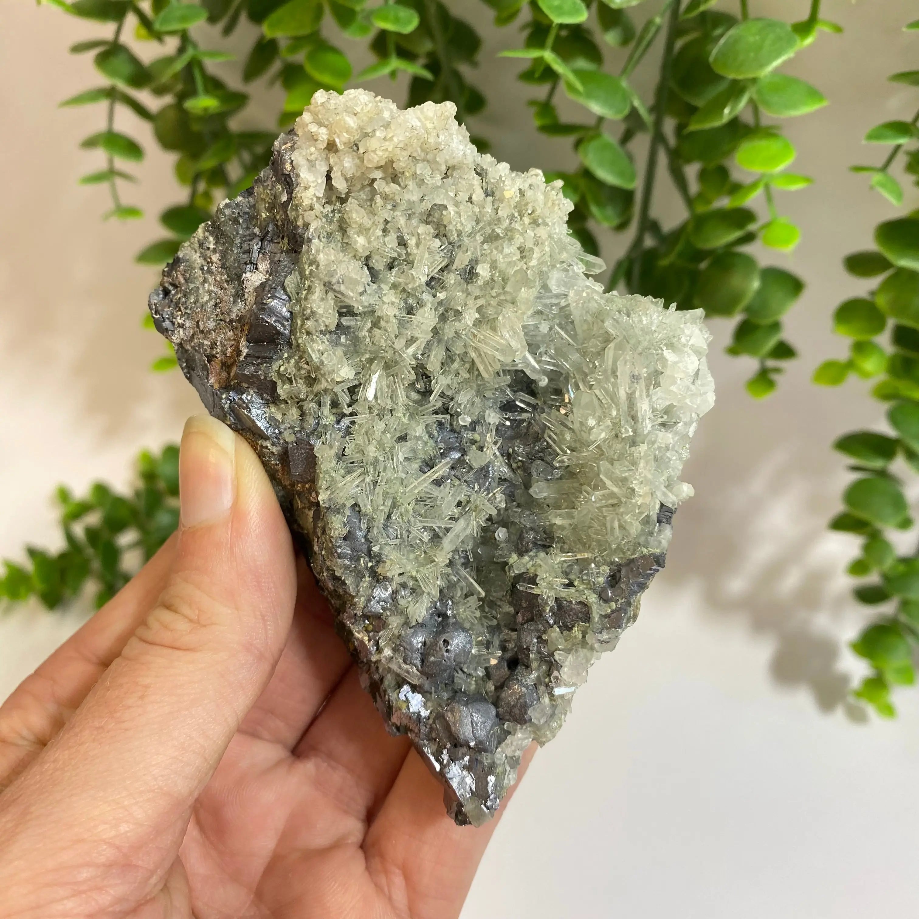 Quartz x Sphalerite Cluster Arabella Crystals