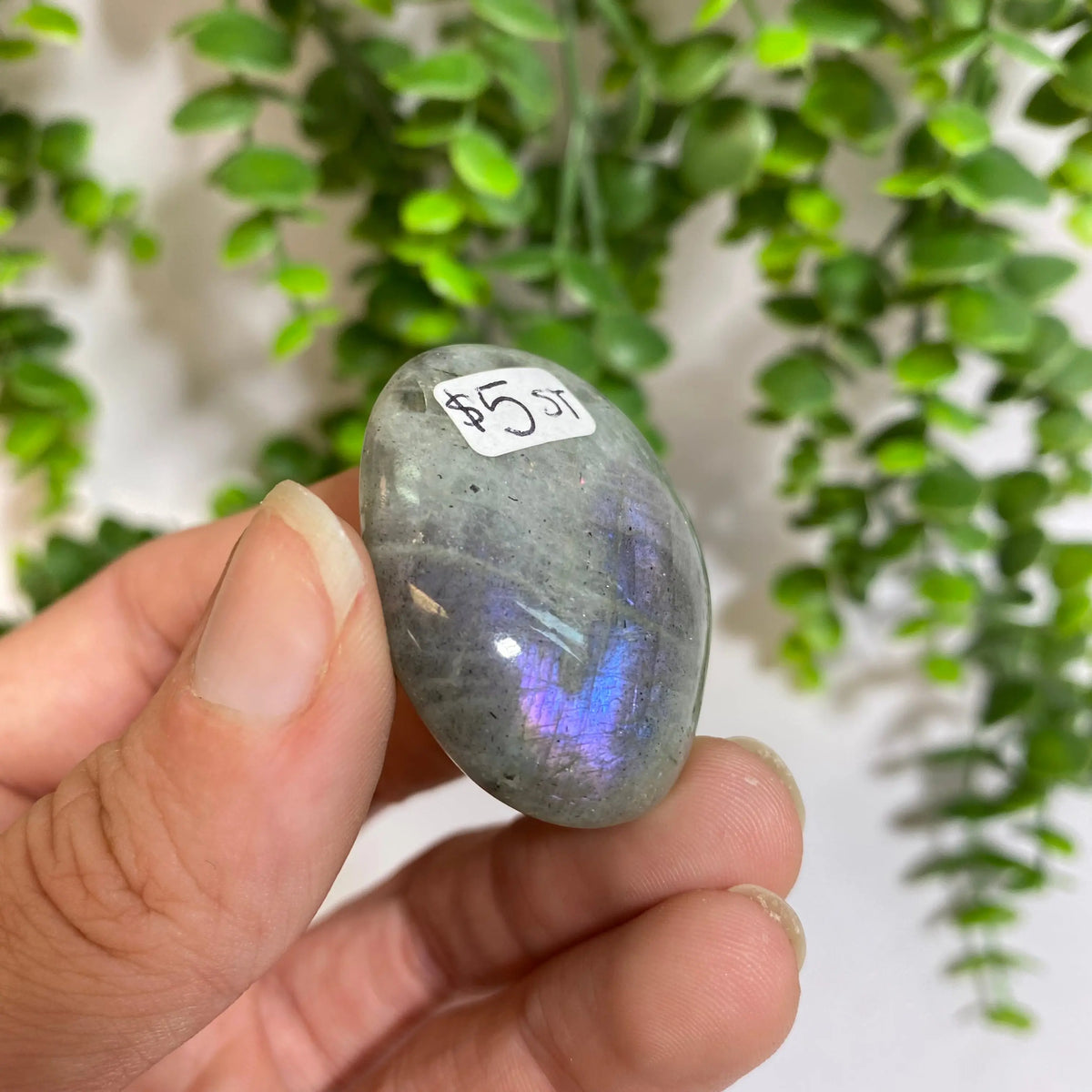 Purple Labradorite Palm Stone Arabella Crystals
