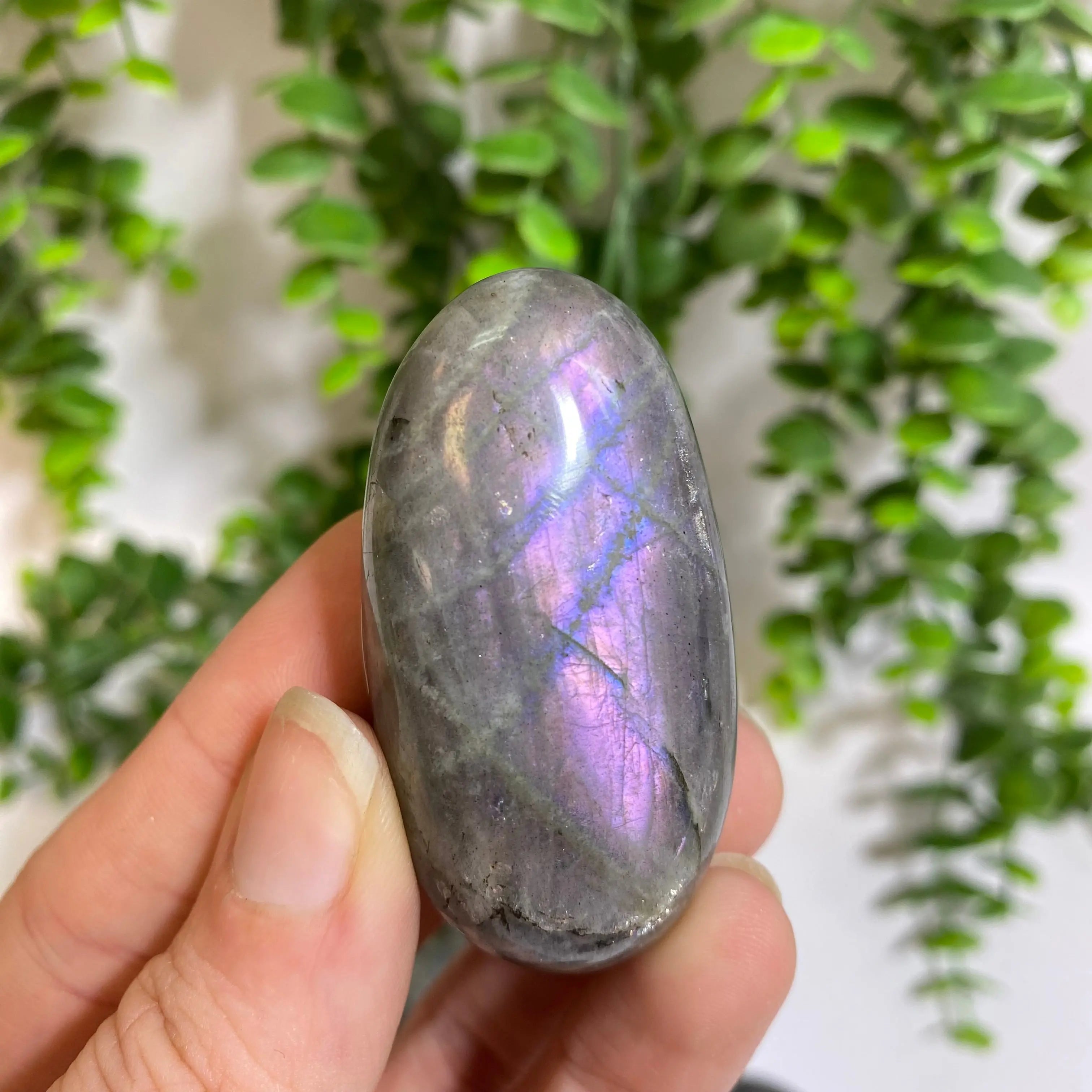 Purple Labradorite Palm Stone Arabella Crystals