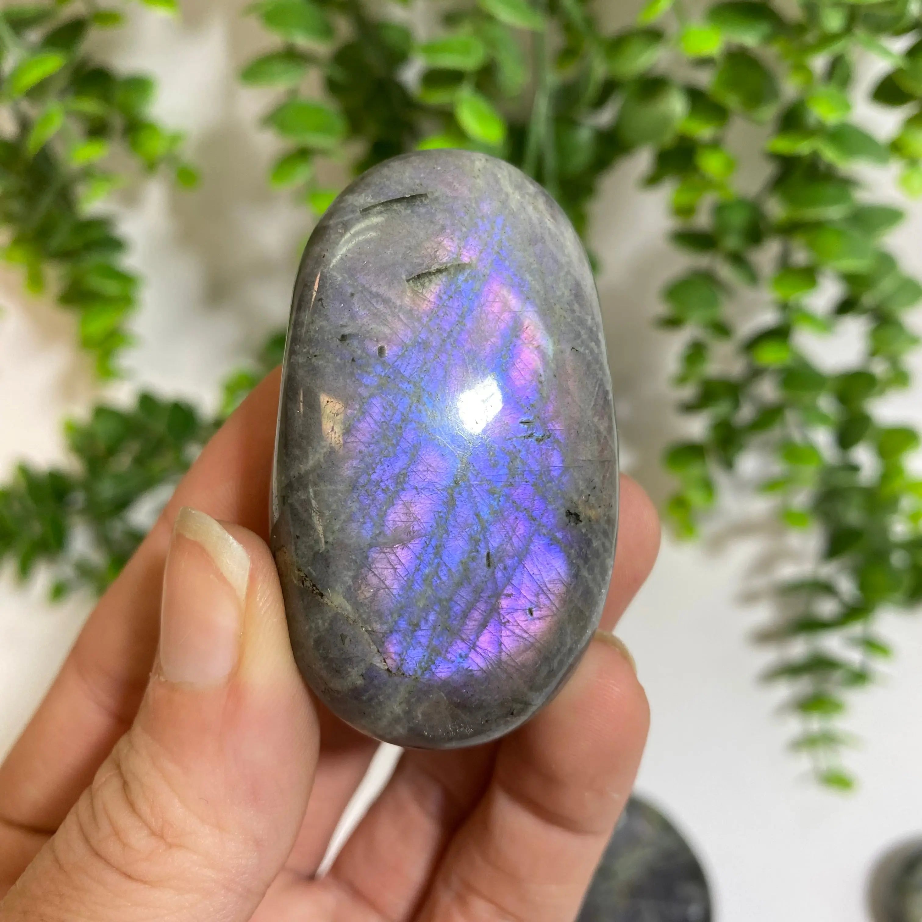 Purple Labradorite Palm Stone Arabella Crystals