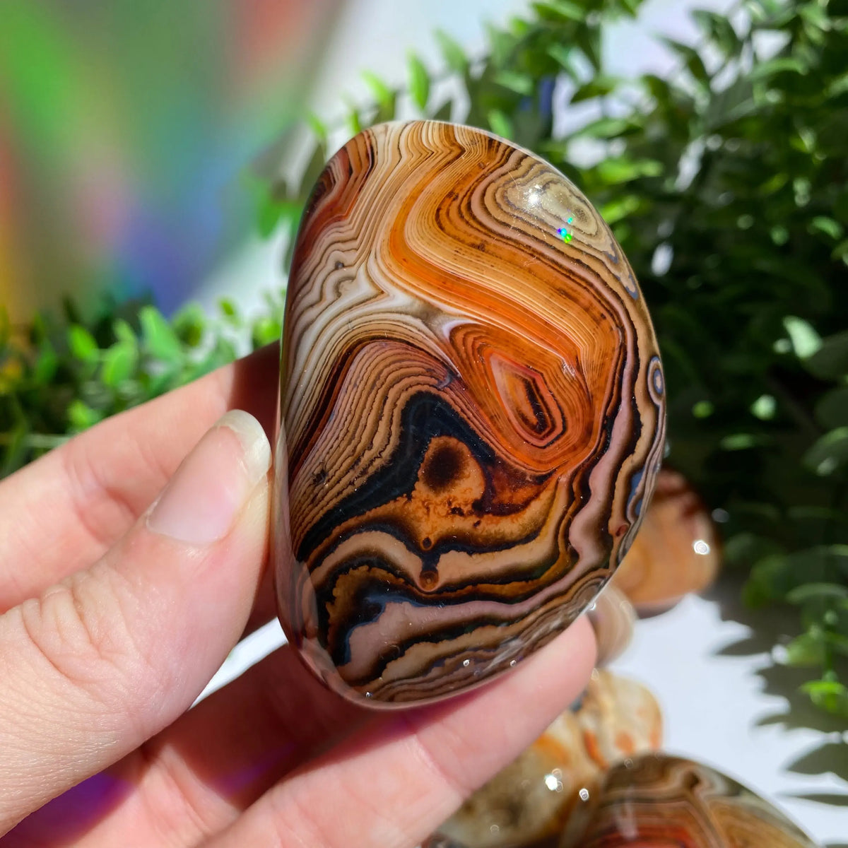 Sardonyx (Carnelian X Onyx) Palm Stone for Passion & Creativity