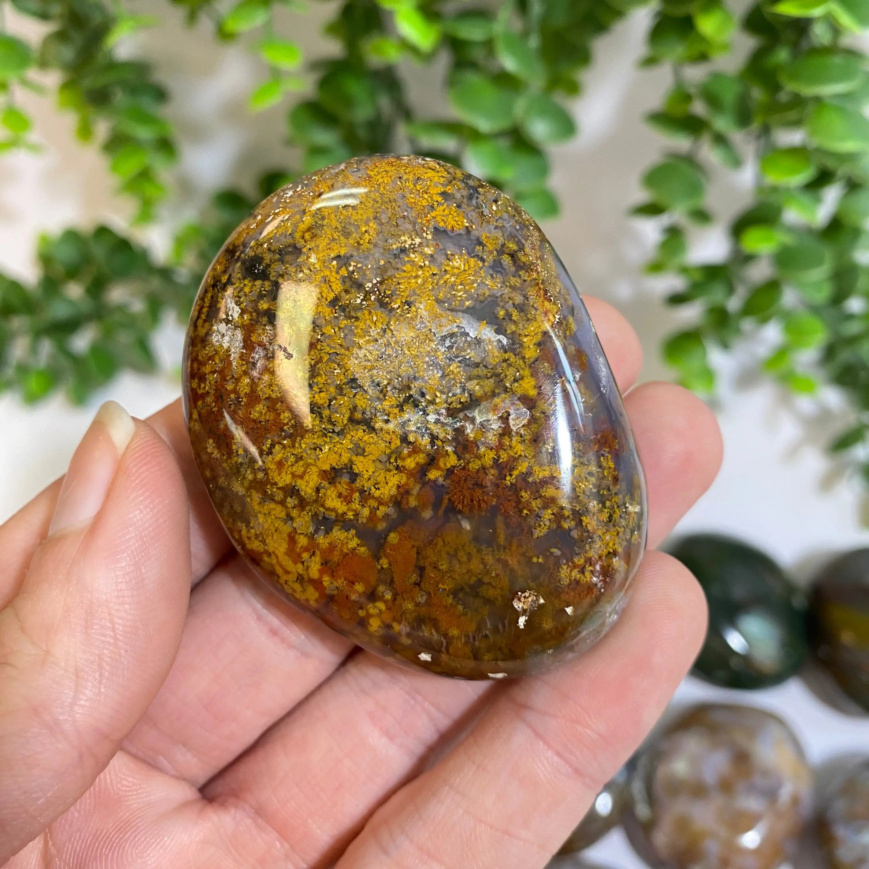 Ocean Jasper Palm Stone Arabella Crystals