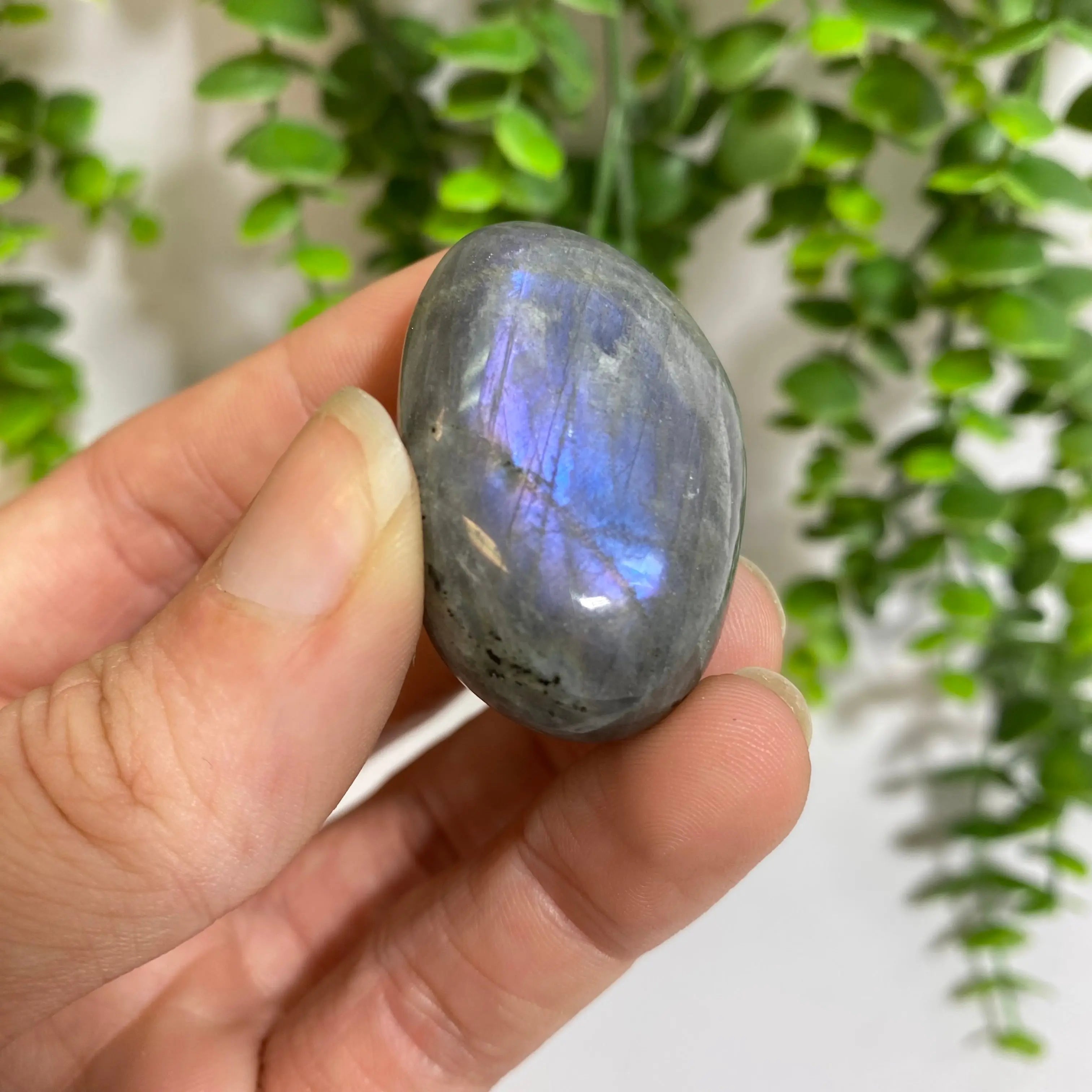 Purple Labradorite Palm Stone Arabella Crystals