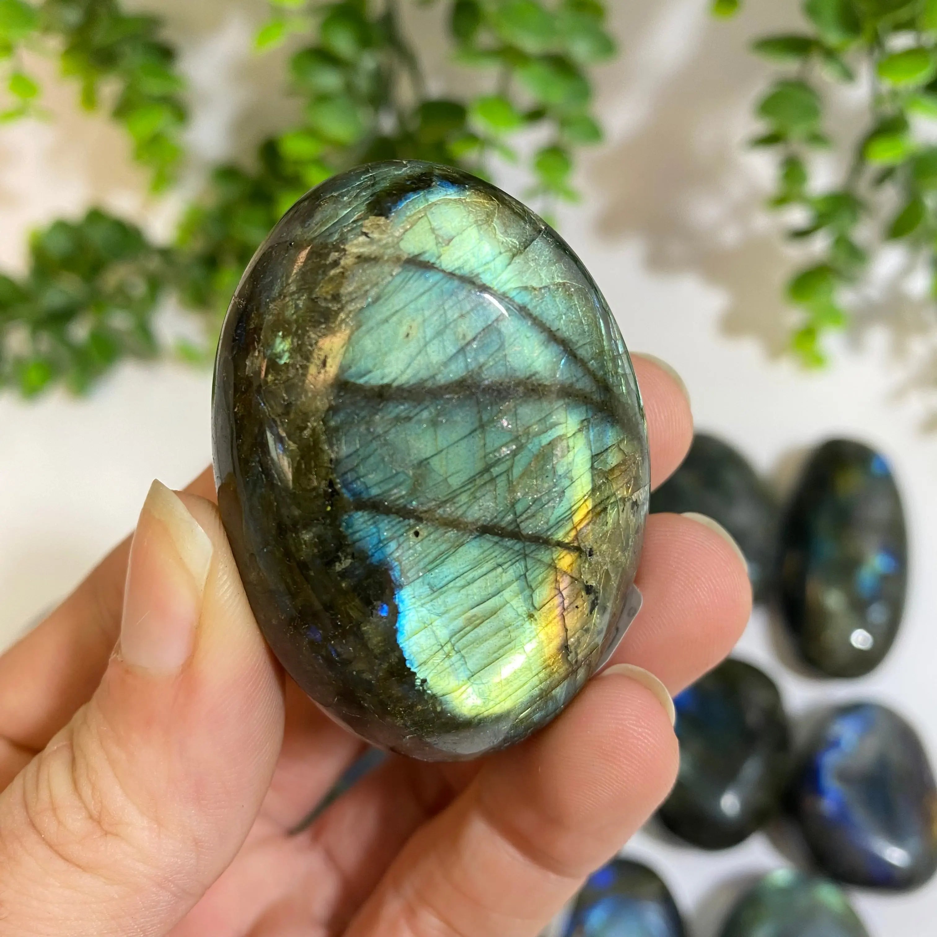 Labradorite Palm Stone Arabella Crystals