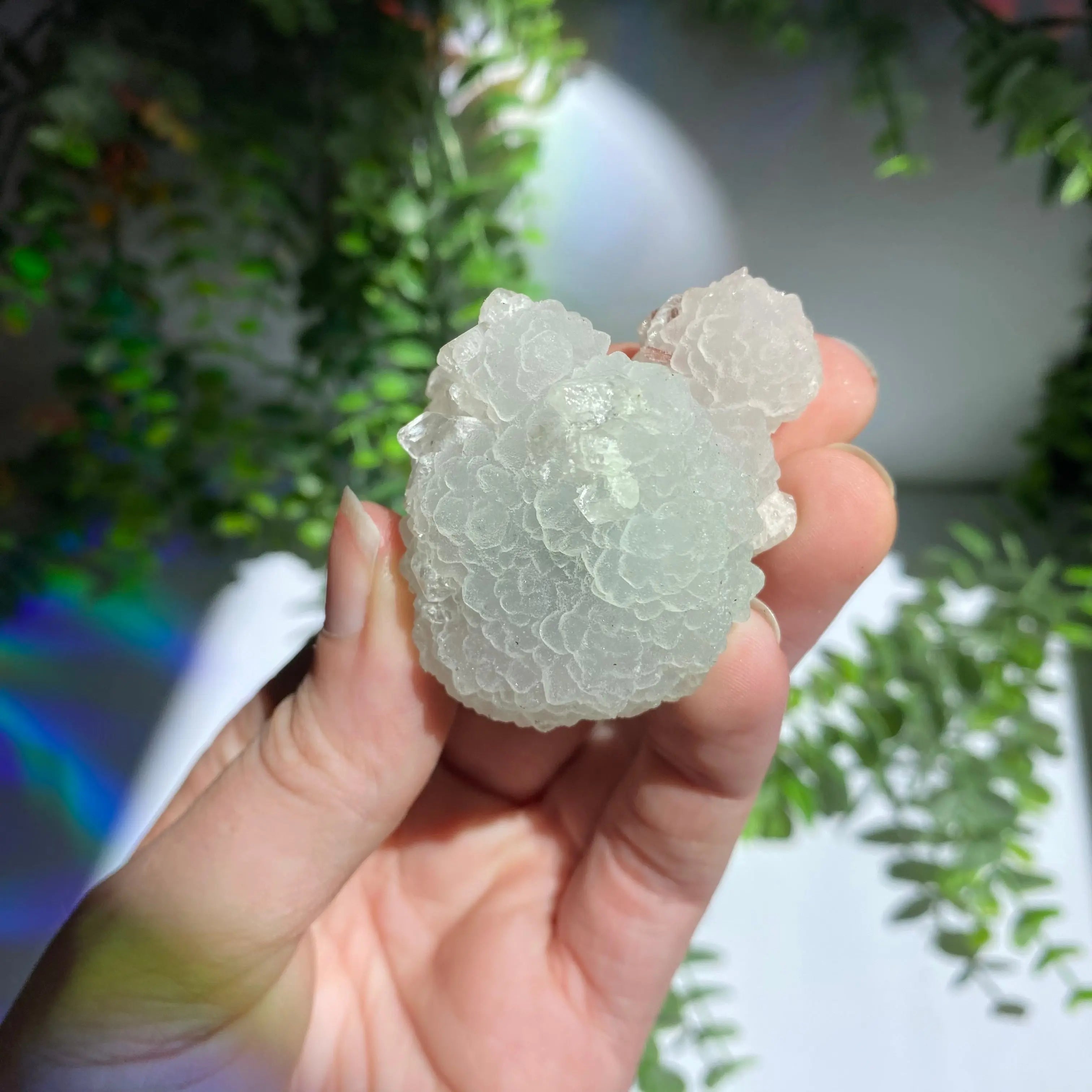 Zeolite Cluster Arabella Crystals