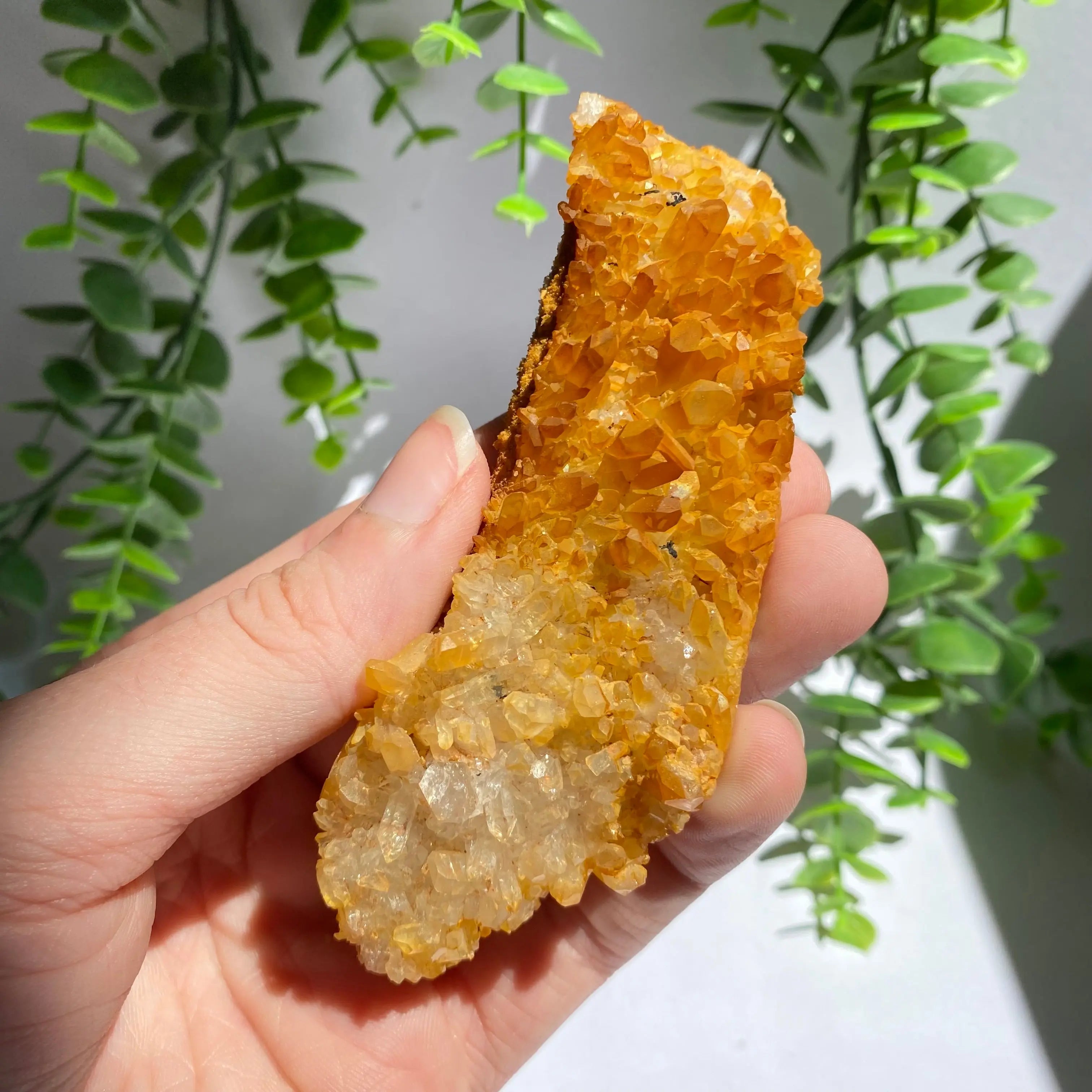 Golden Healer Cluster Arabella Crystals