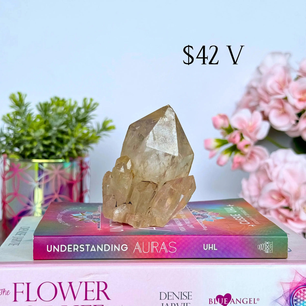 Kundalini Citrine Clusters Arabella Crystals