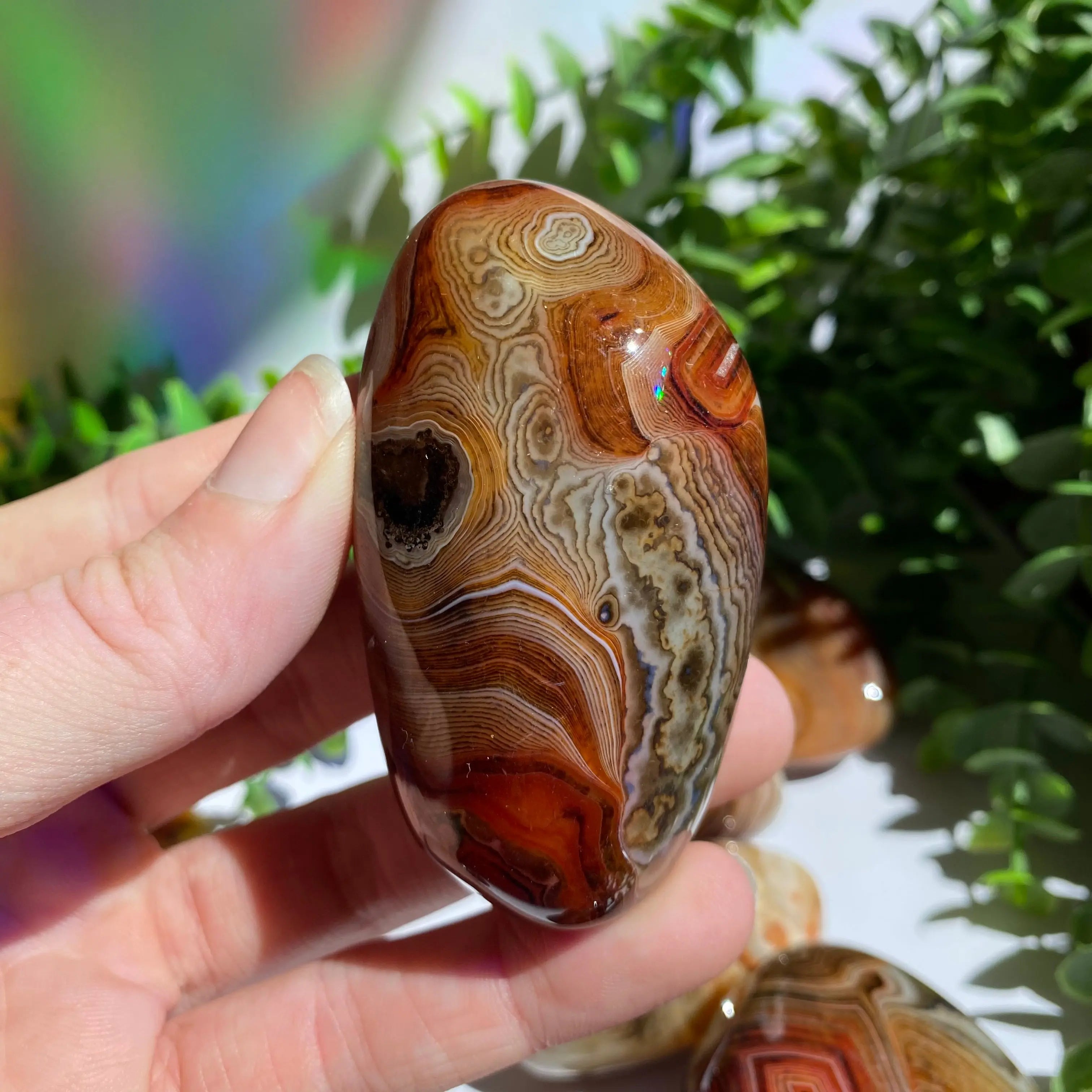 Sardonyx (Carnelian X Onyx) Palm Stone for Passion & Creativity