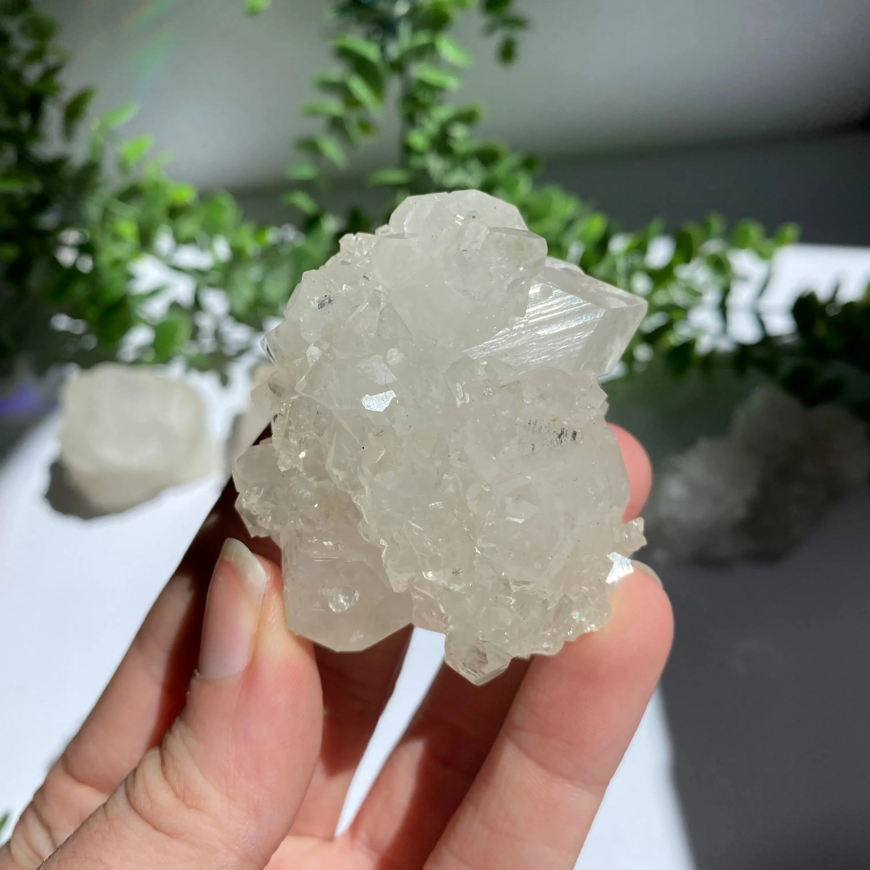 Zeolite Cluster Arabella Crystals