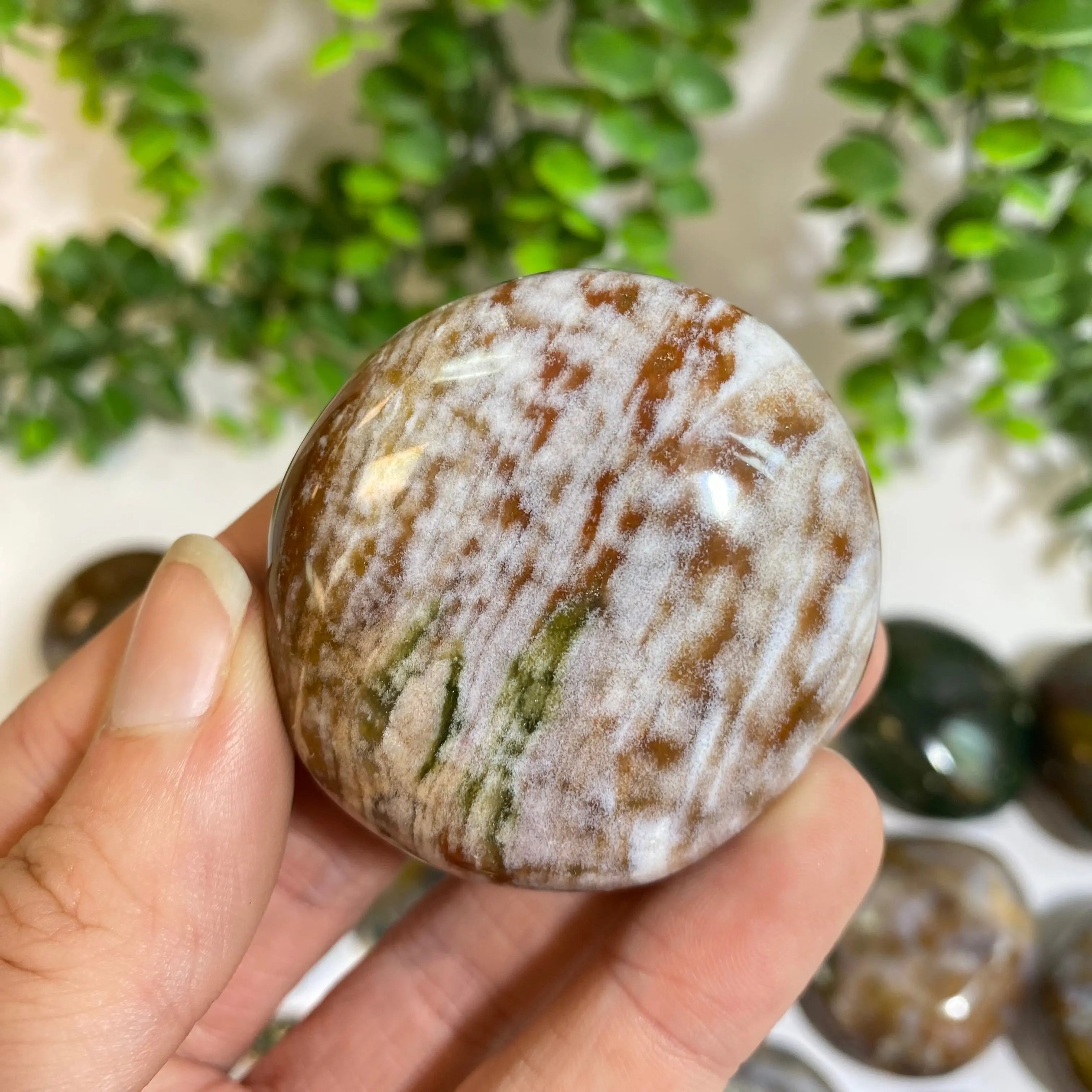 Ocean Jasper Palm Stone Arabella Crystals