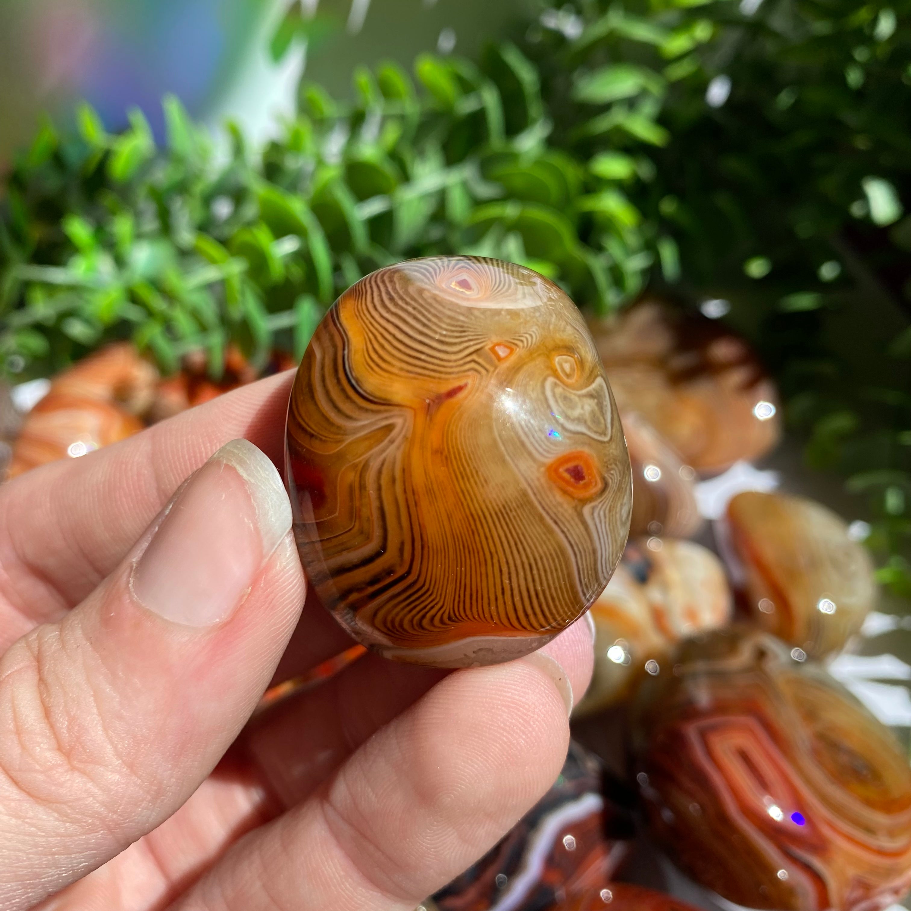 Sardonyx (Carnelian X Onyx) Palm Stone