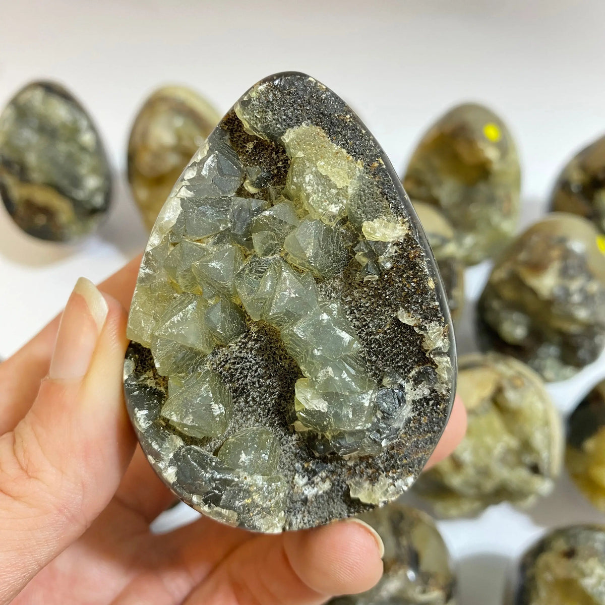 Septarian Agate Egg Arabella Crystals