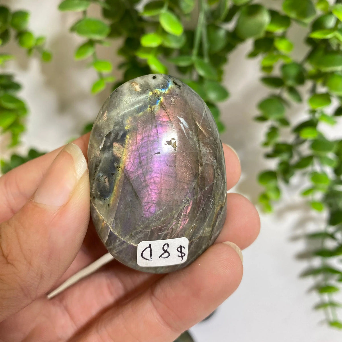 Purple Labradorite Palm Stone Arabella Crystals