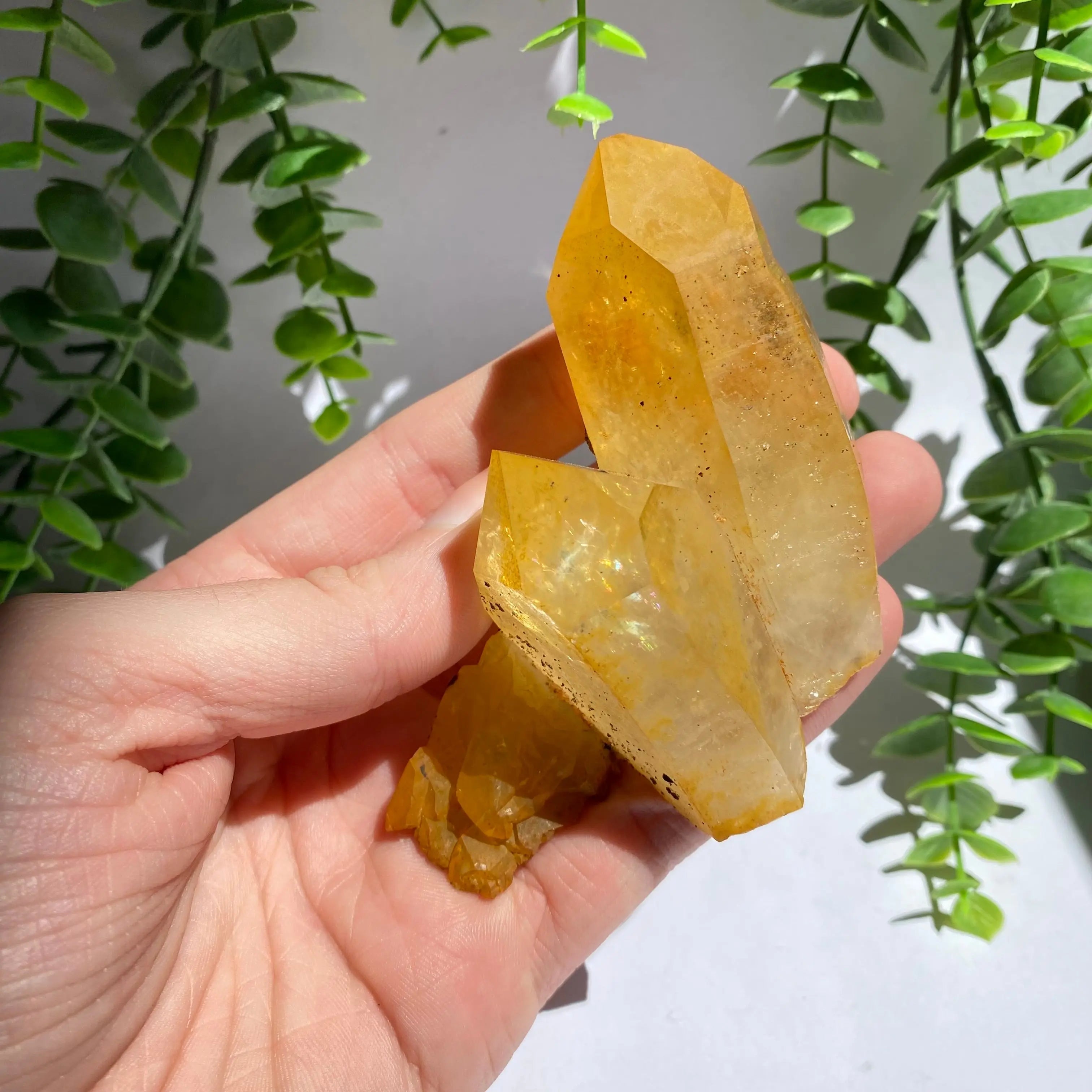 Golden Healer Cluster Arabella Crystals
