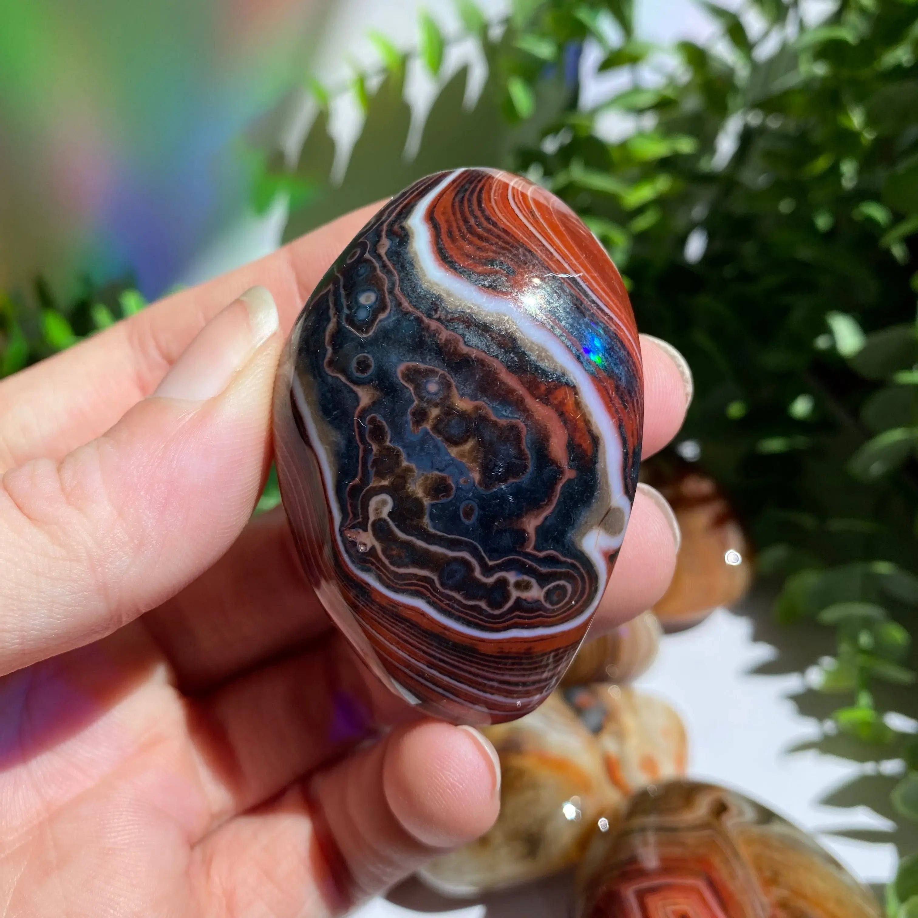 Sardonyx (Carnelian X Onyx) Palm Stone for Passion & Creativity