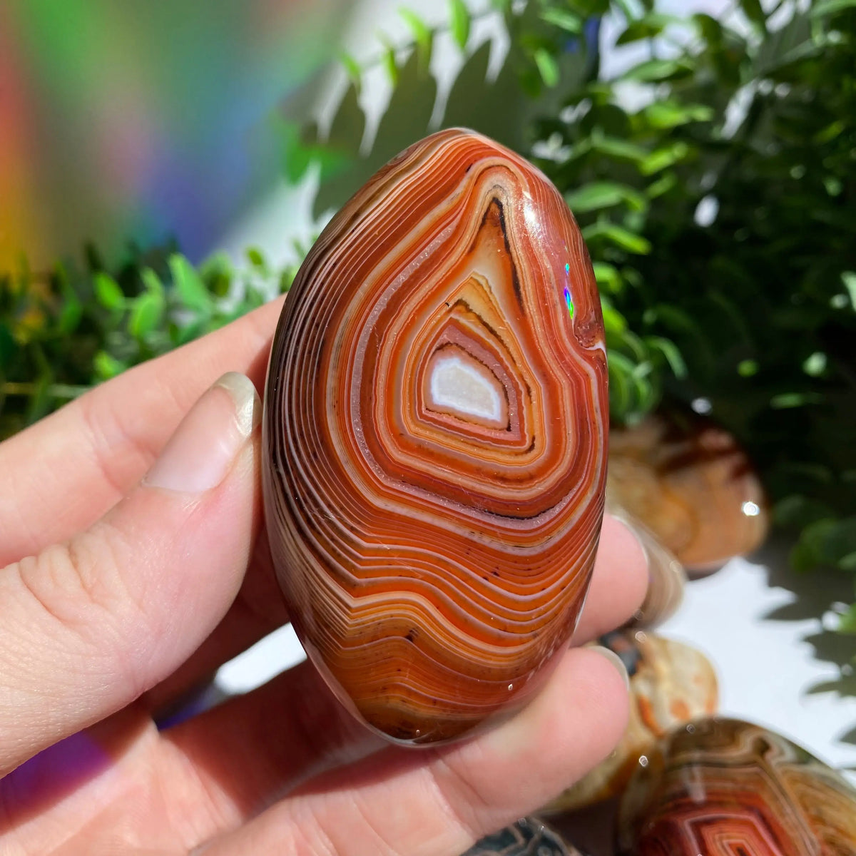 Sardonyx (Carnelian X Onyx) Palm Stone for Passion & Creativity