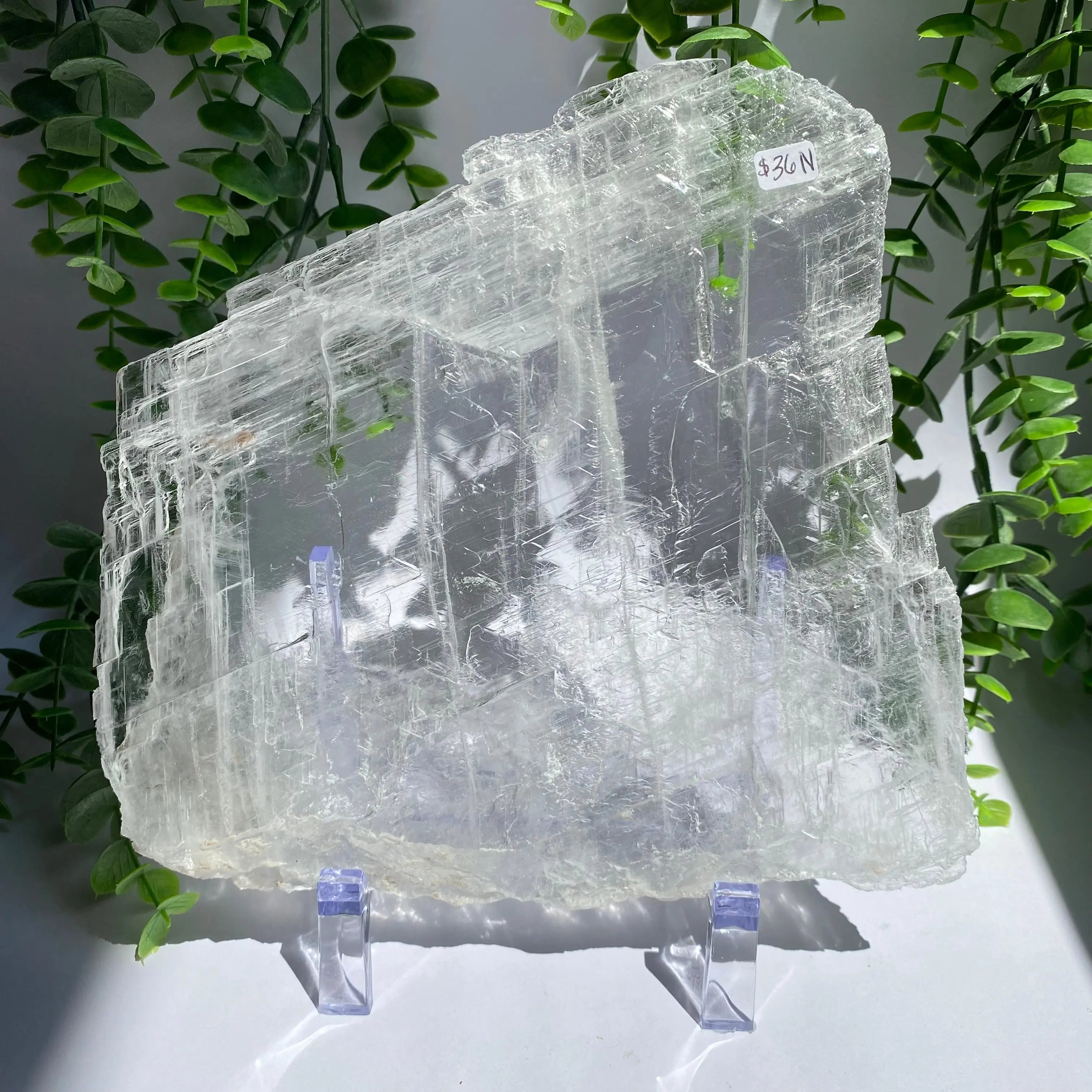 Selenite Slice Arabella Crystals