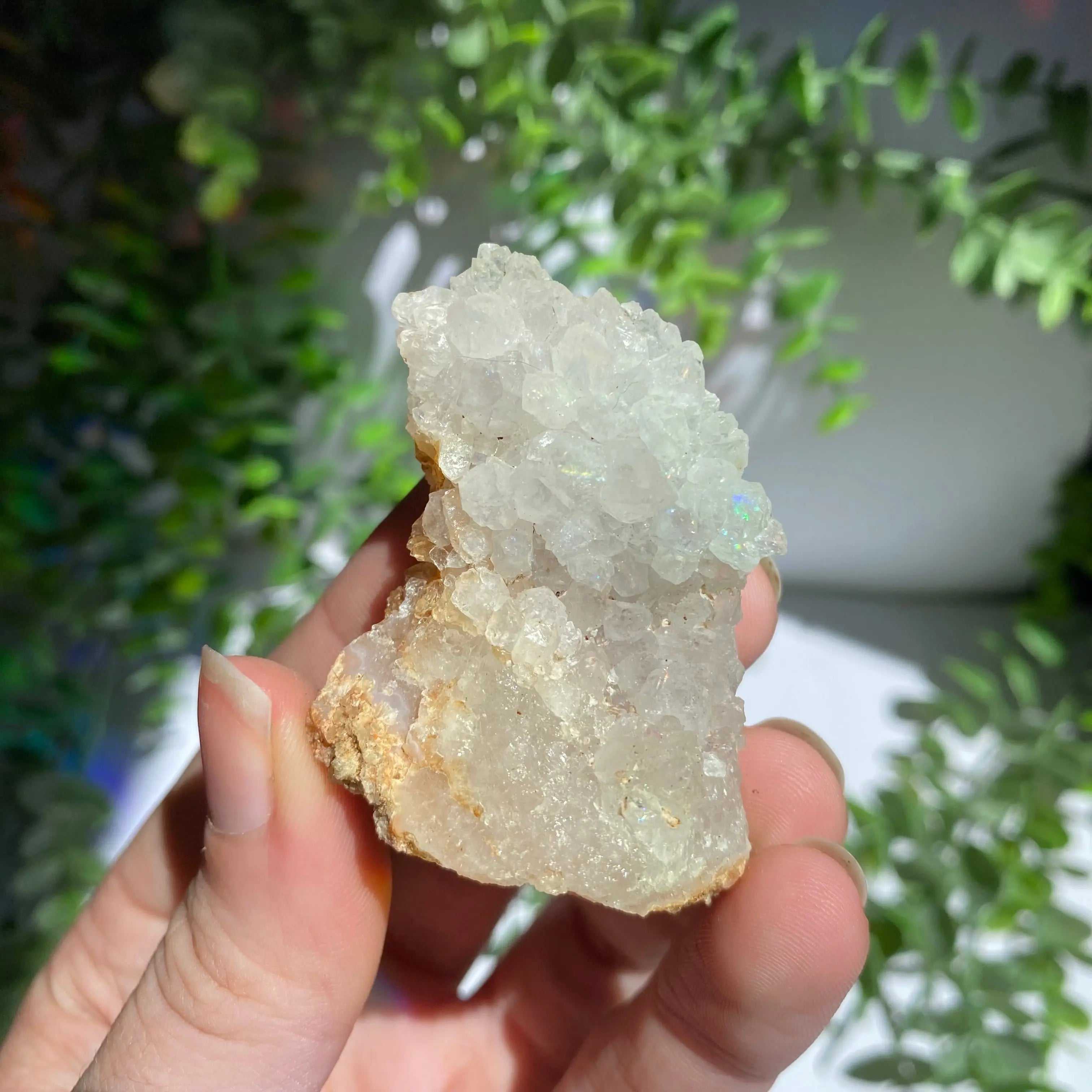 Zeolite Cluster Arabella Crystals