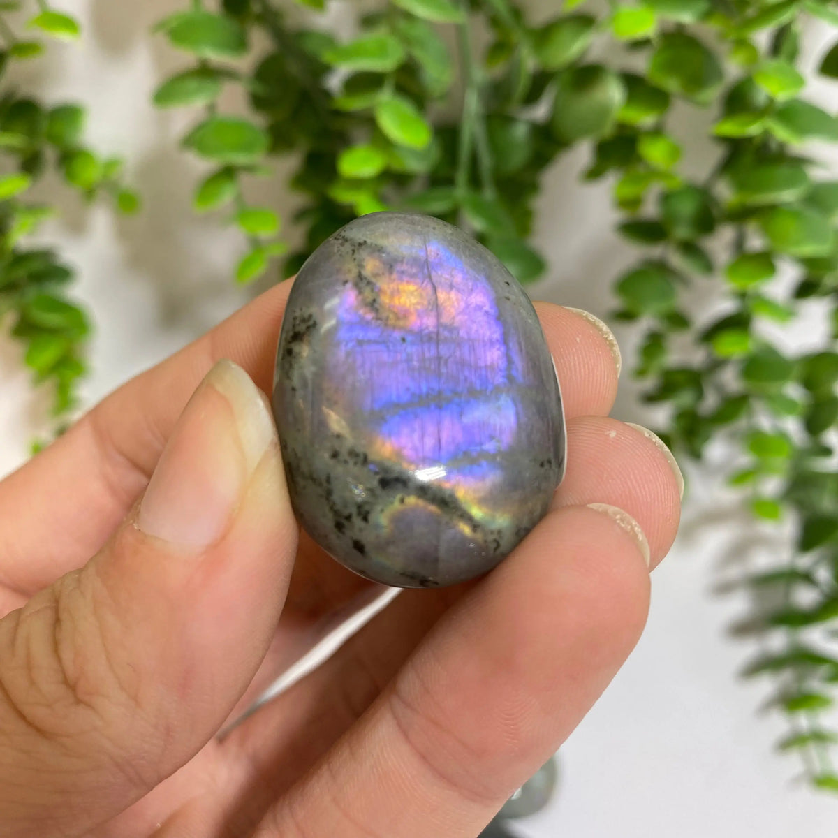 Purple Labradorite Palm Stone Arabella Crystals