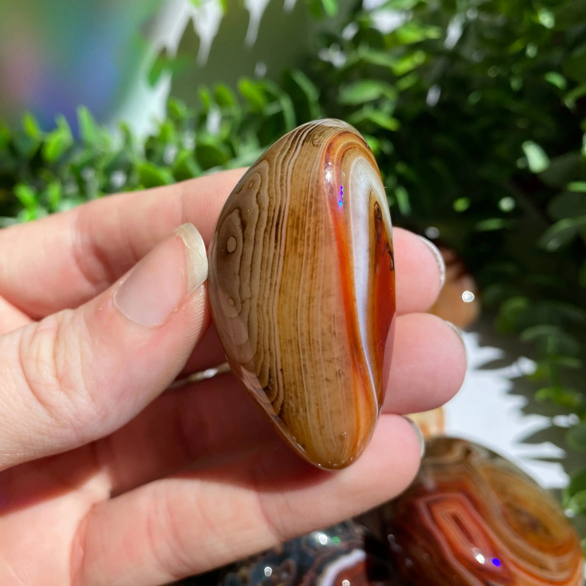 Sardonyx (Carnelian X Onyx) Palm Stone for Passion & Creativity