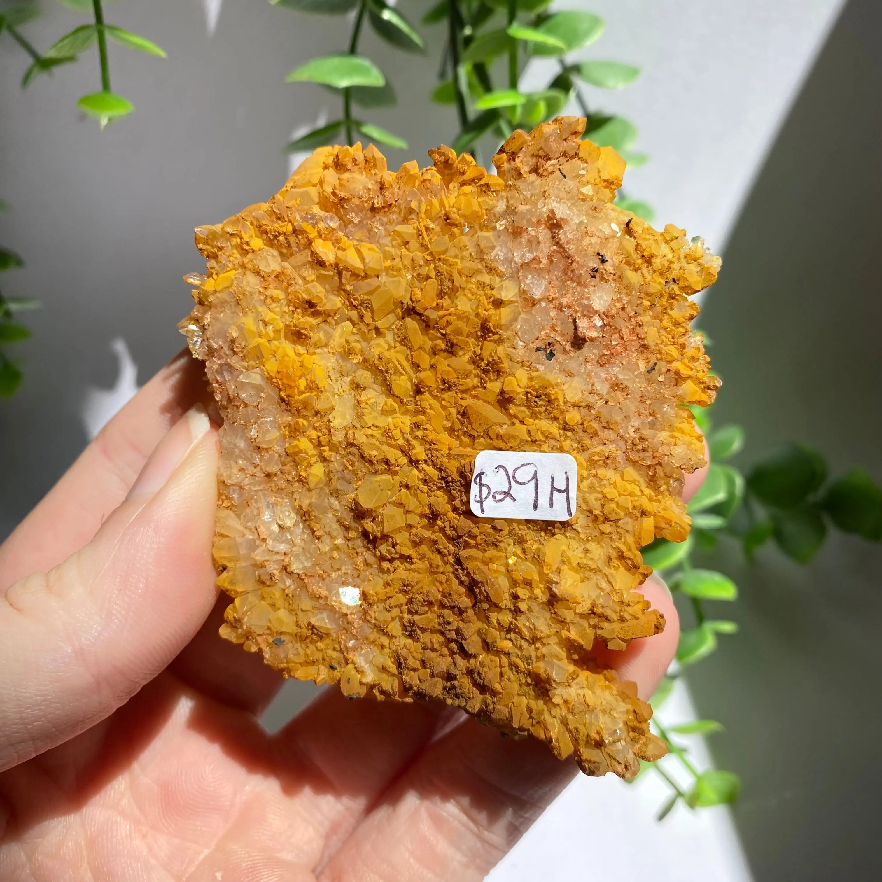 Golden Healer Cluster Arabella Crystals