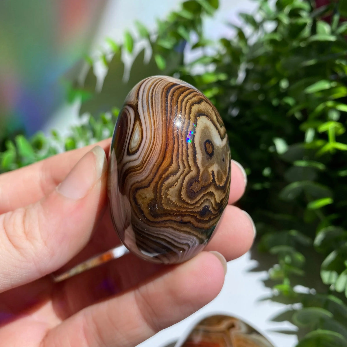 Sardonyx (Carnelian X Onyx) Palm Stone for Passion & Creativity