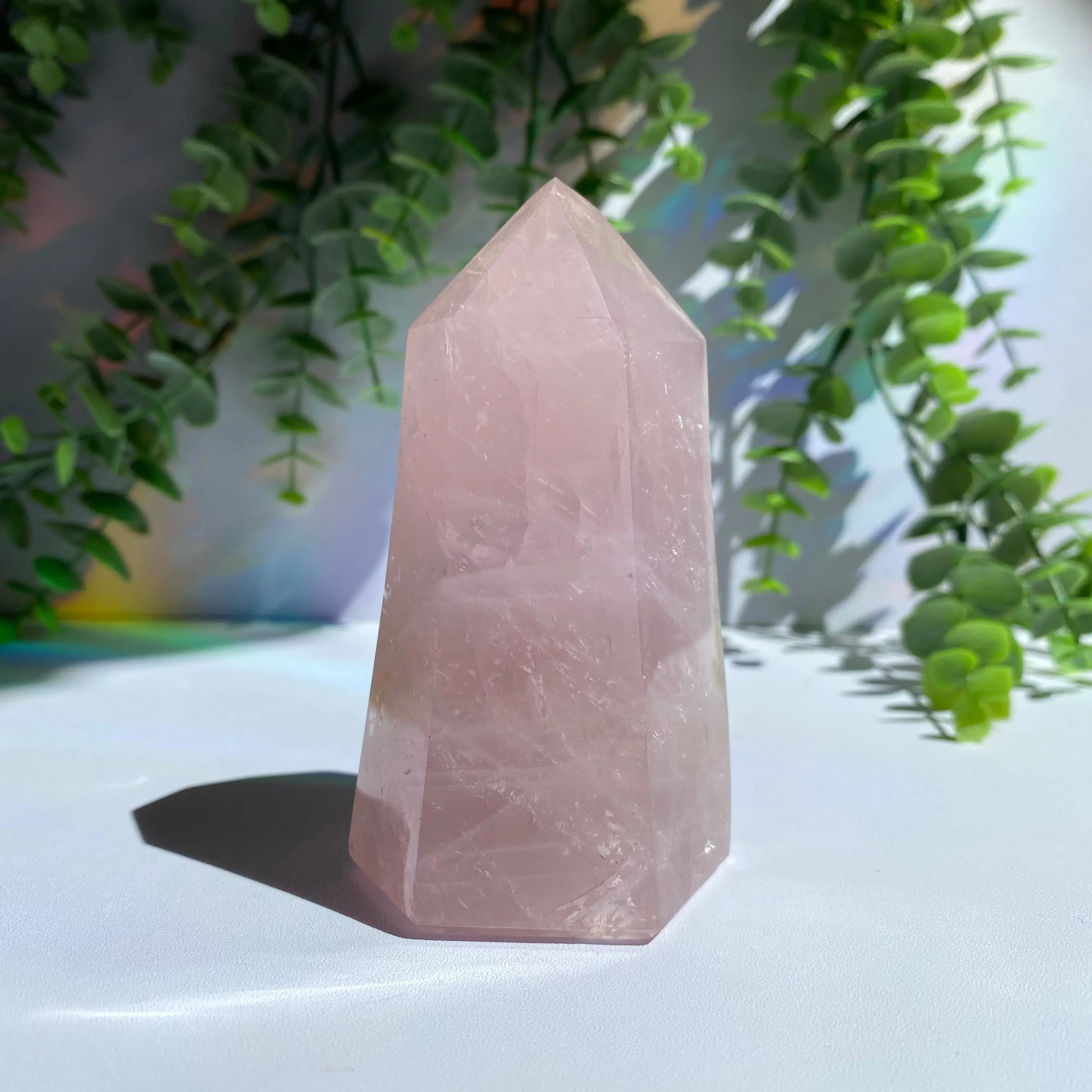 Rose Quartz Point Arabella Crystals