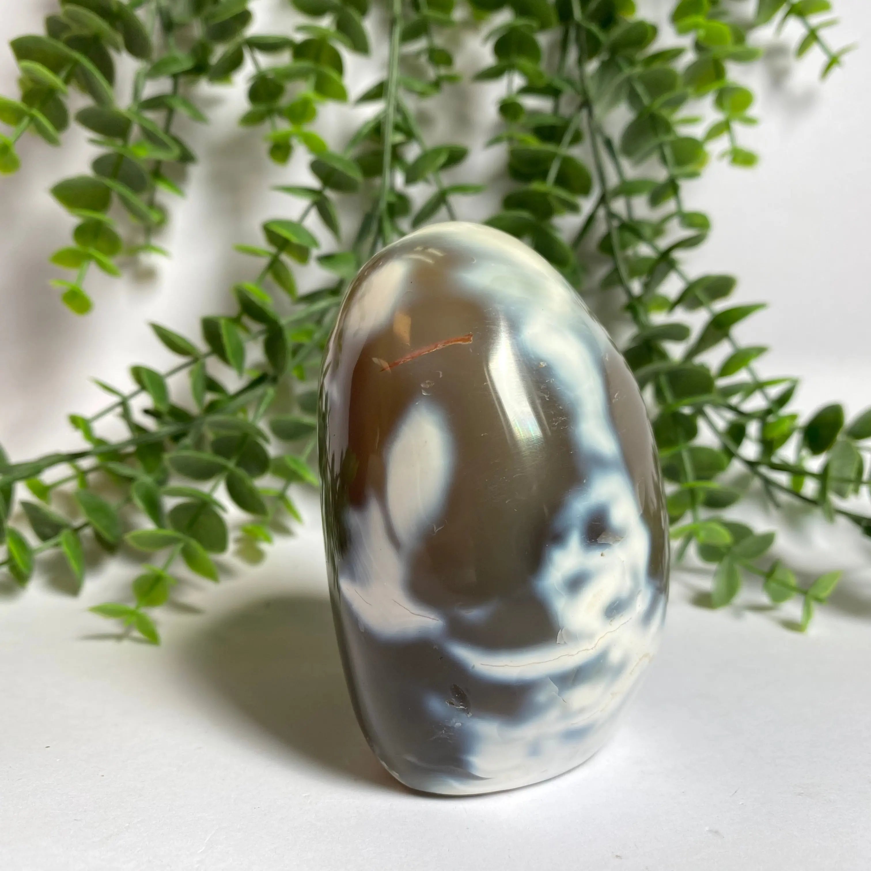Orca Agate Free Form Arabella Crystals