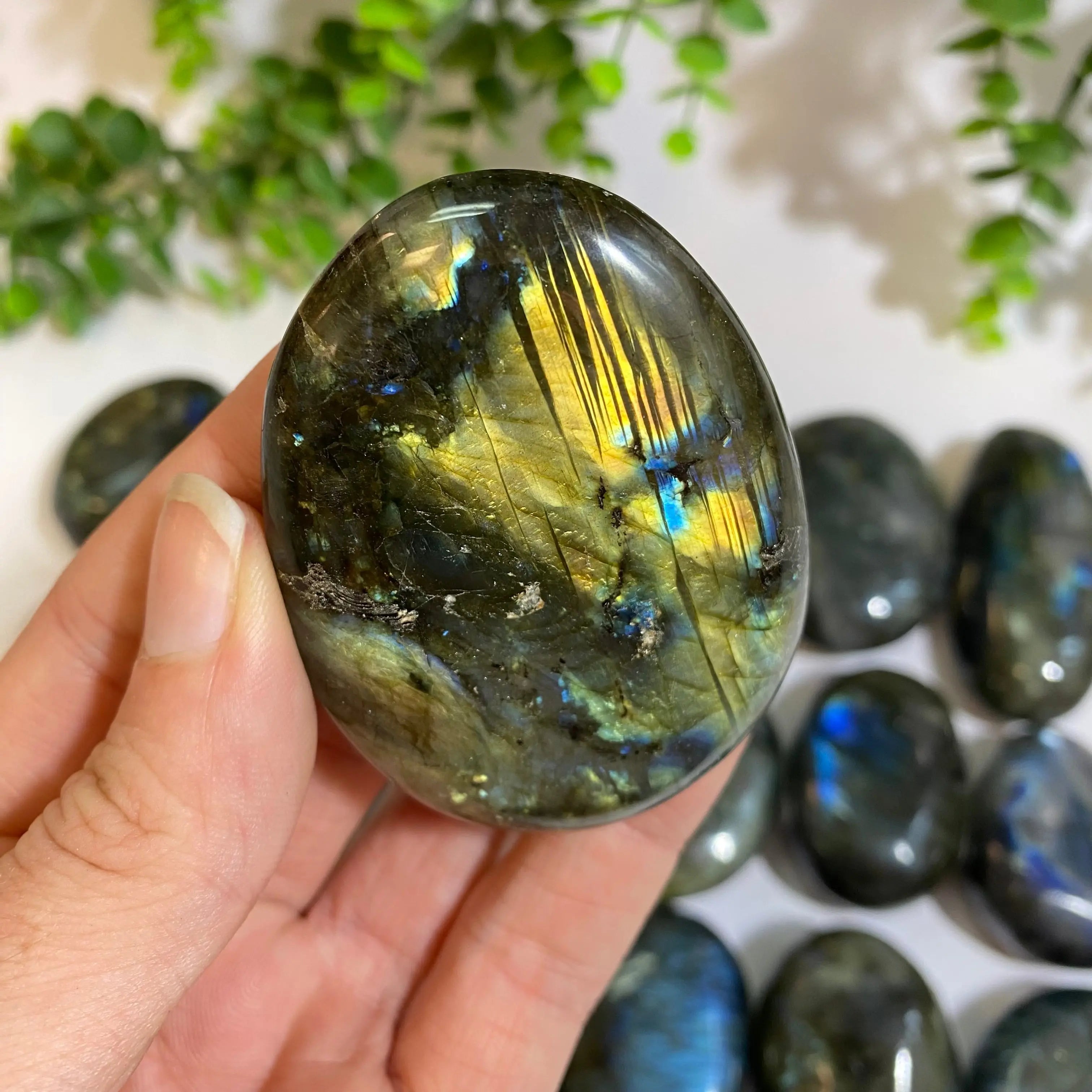Labradorite Palm Stone Arabella Crystals