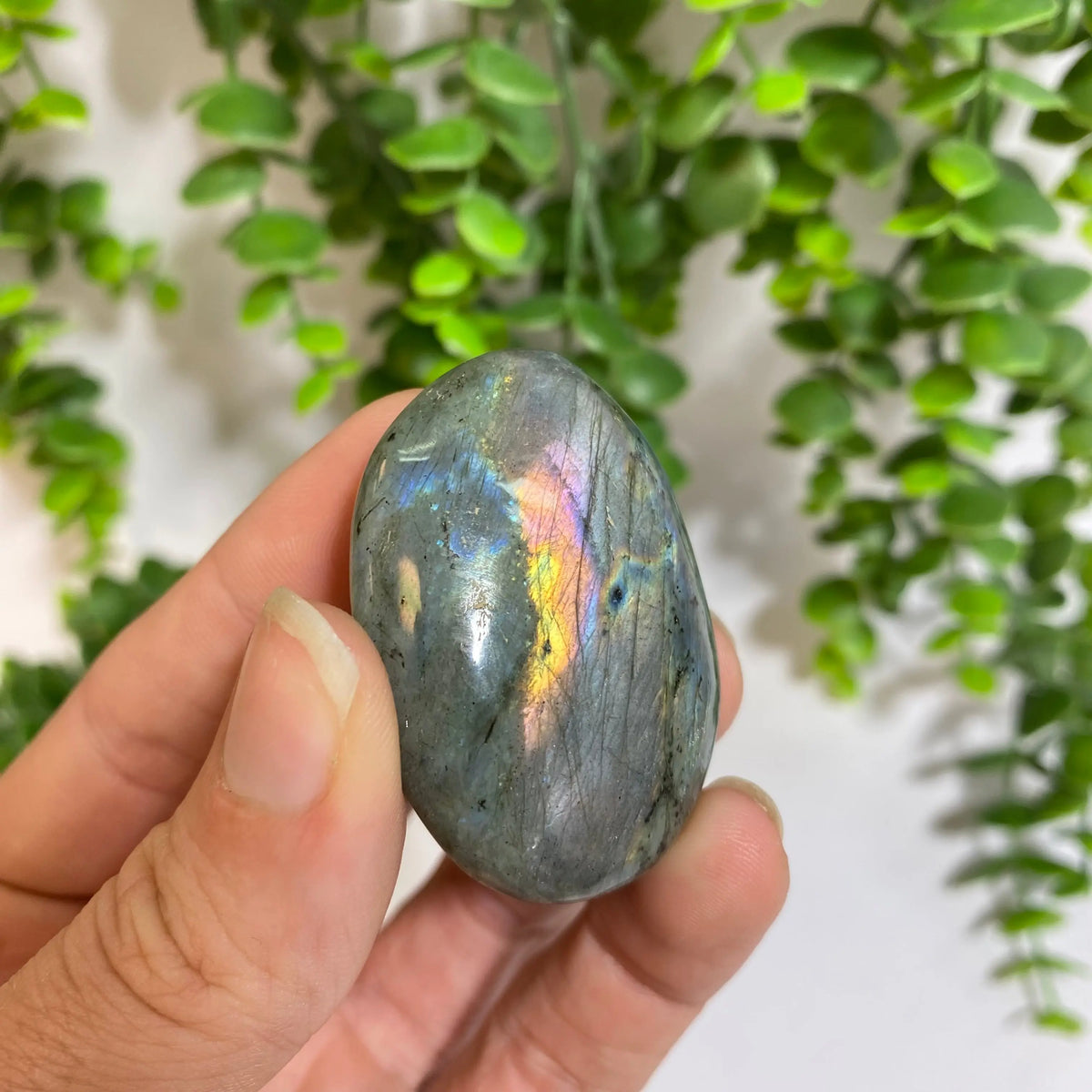 Purple Labradorite Palm Stone Arabella Crystals