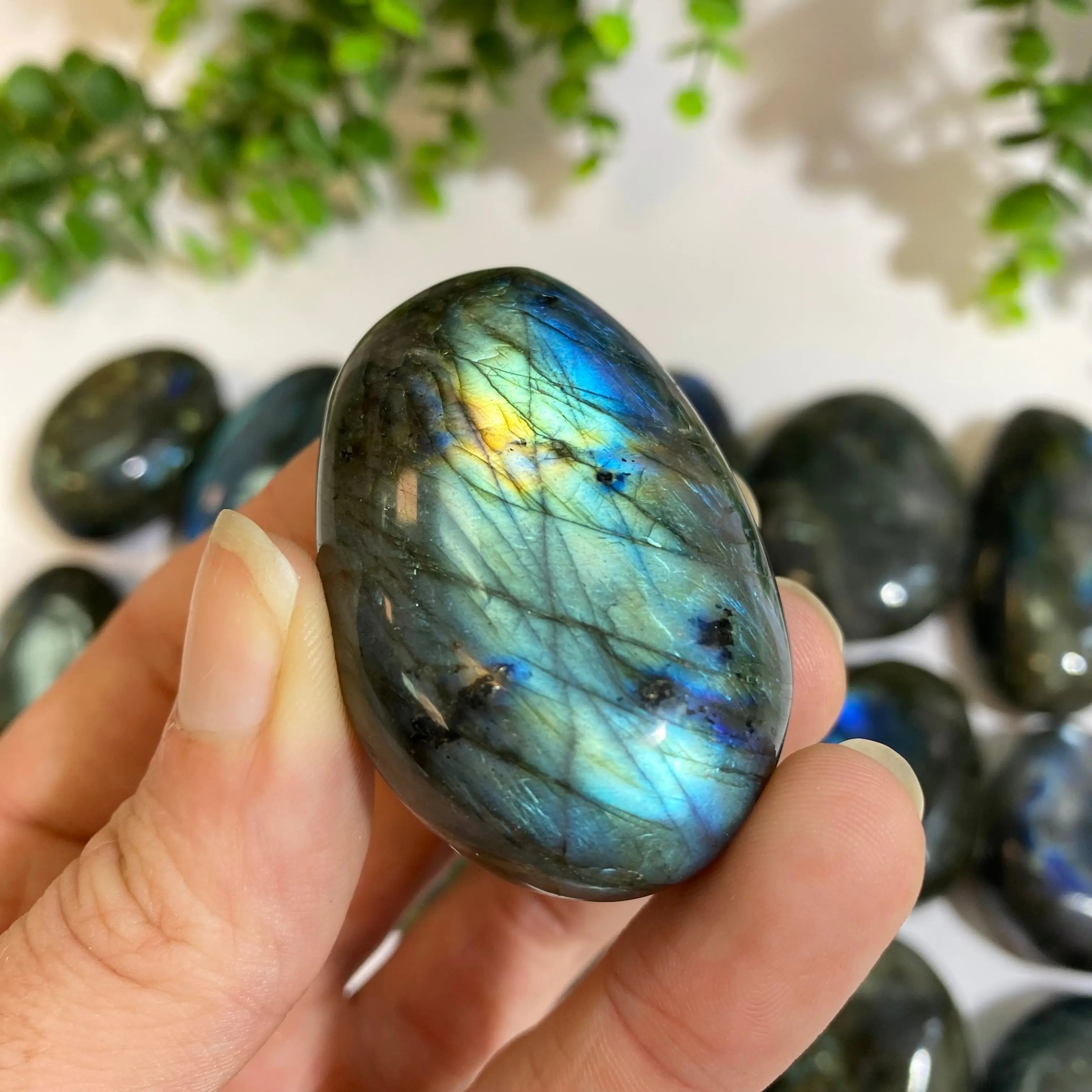 Labradorite Palm Stone Arabella Crystals