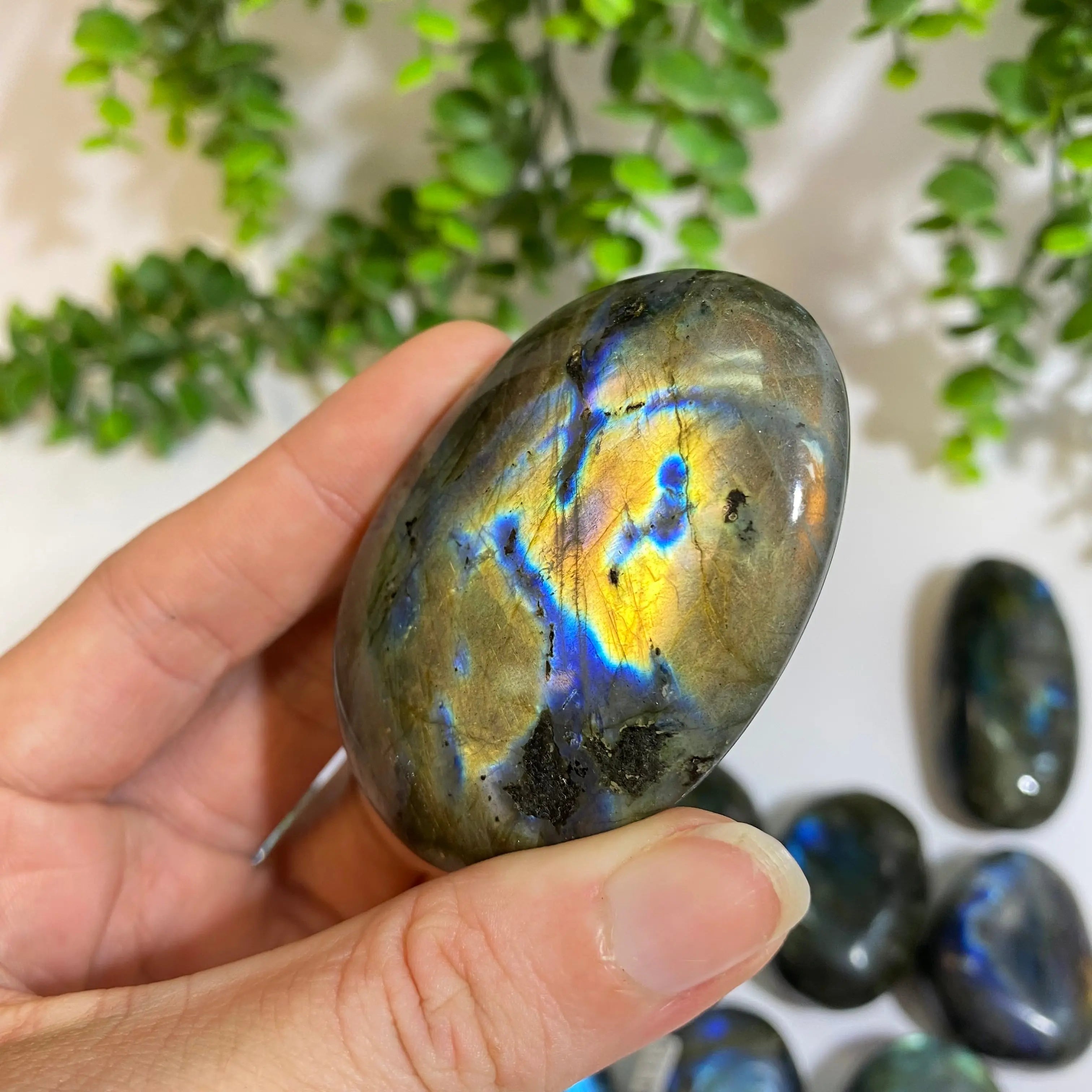 Labradorite Palm Stone Arabella Crystals