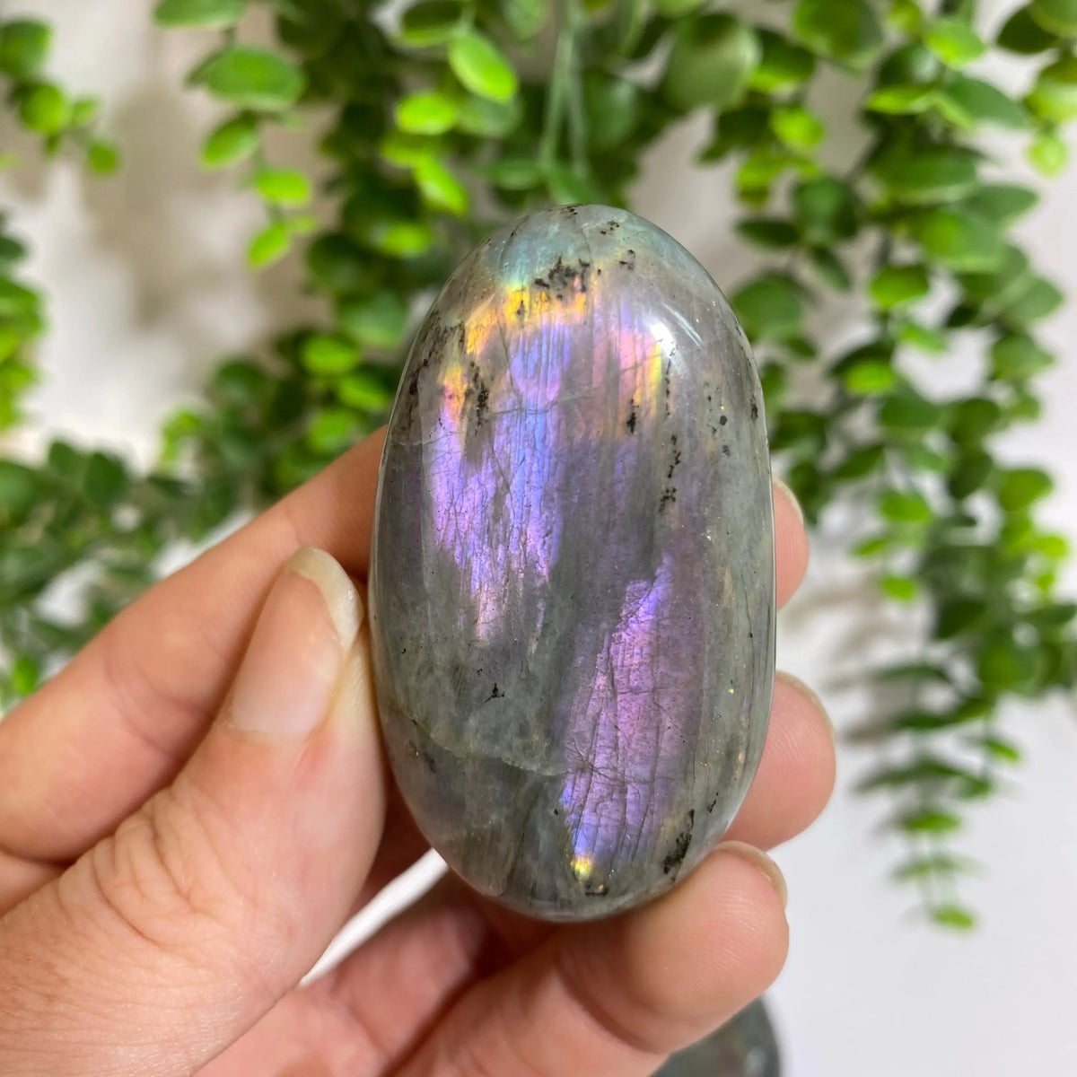 Purple Labradorite Palm Stone Arabella Crystals