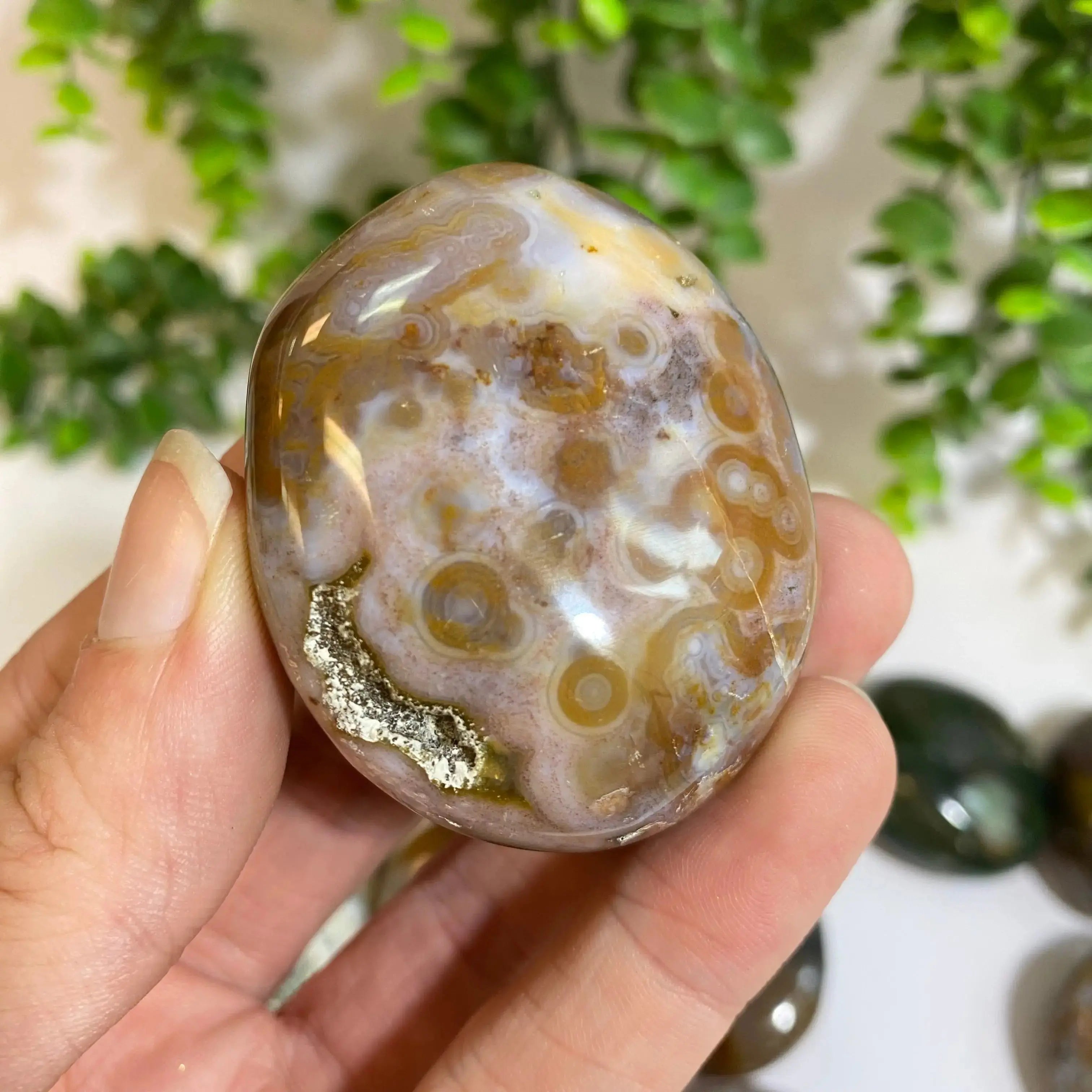 Ocean Jasper Palm Stone Arabella Crystals