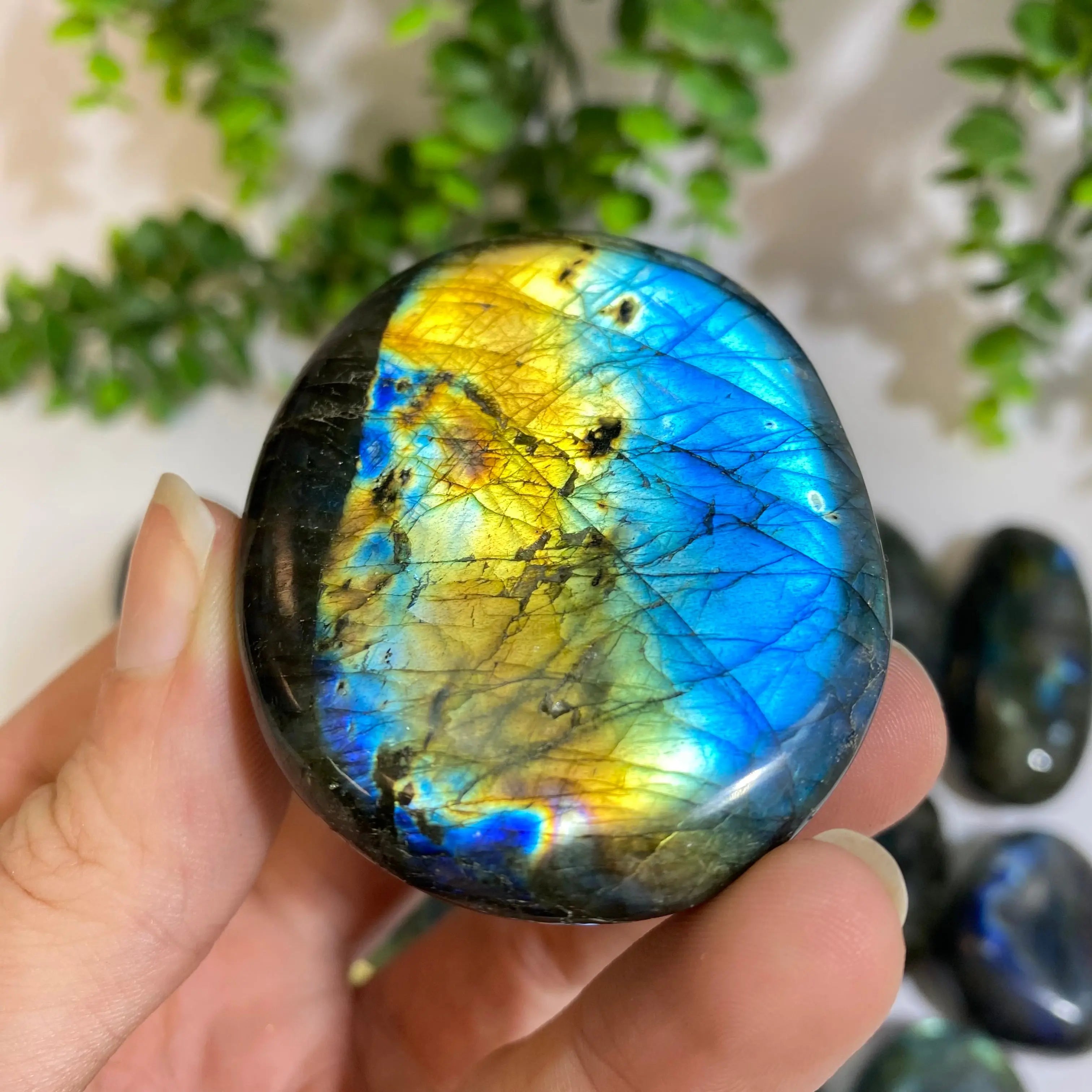 Labradorite Palm Stone Arabella Crystals