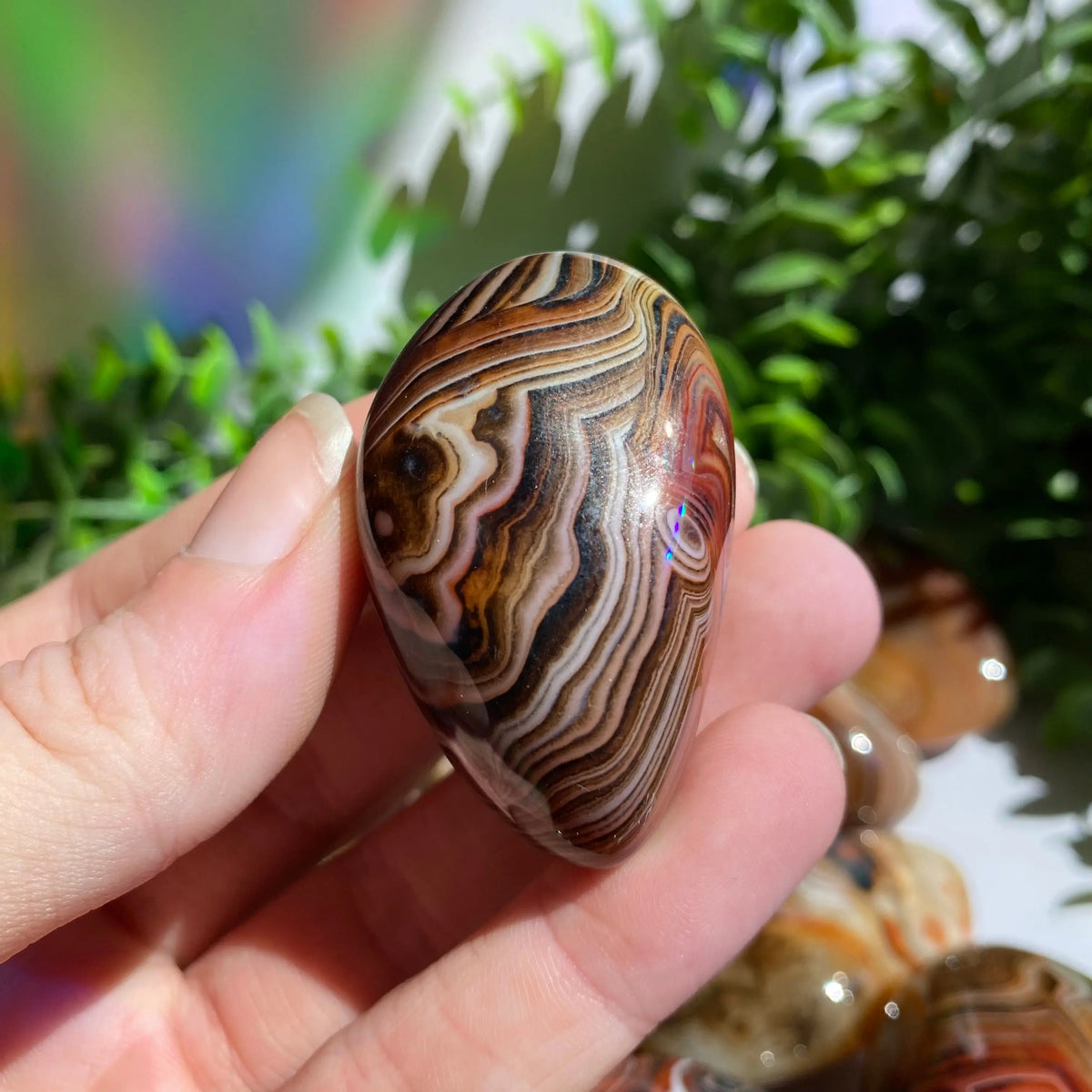 Sardonyx (Carnelian X Onyx) Palm Stone for Passion & Creativity