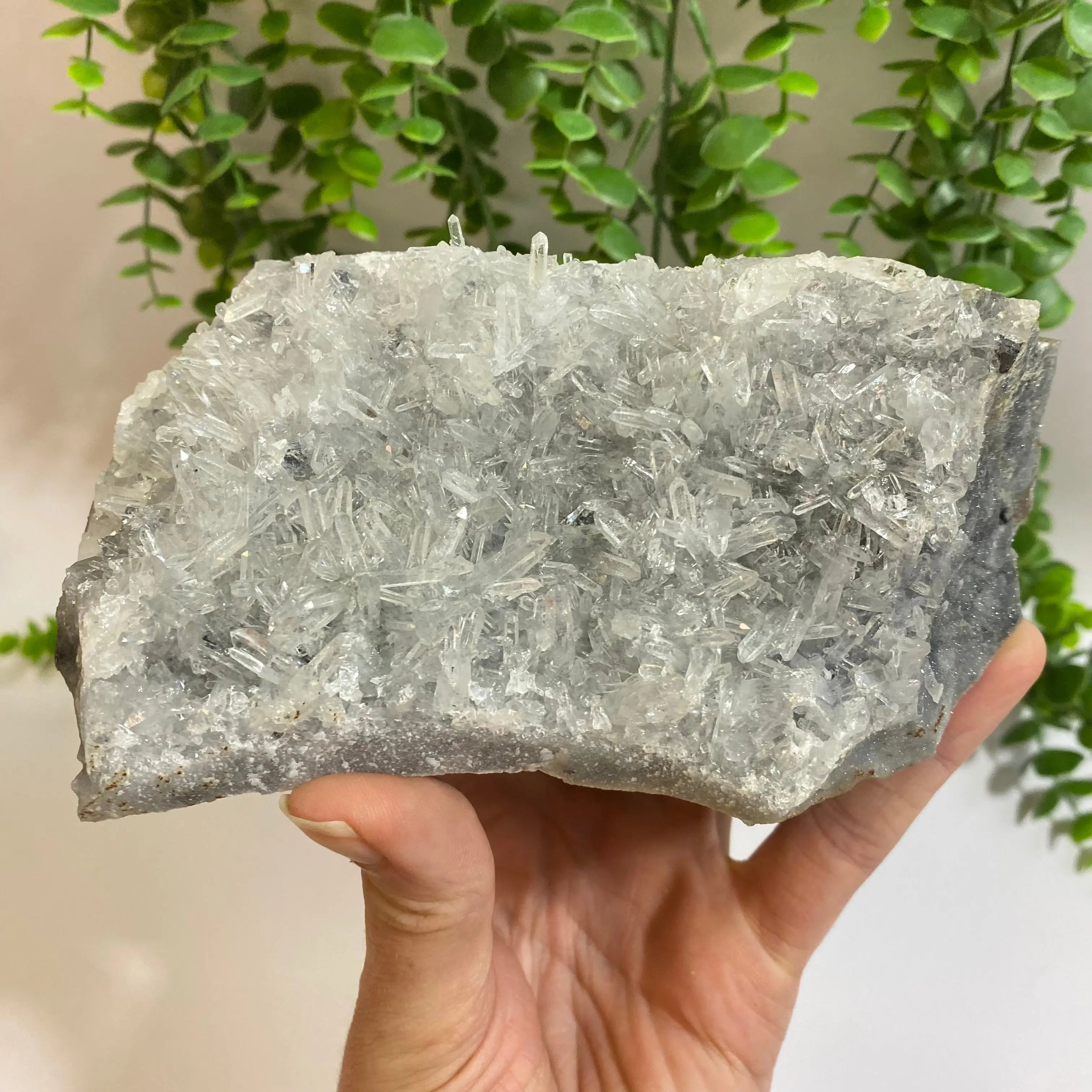 Bulgarian Quartz Cluster Arabella Crystals
