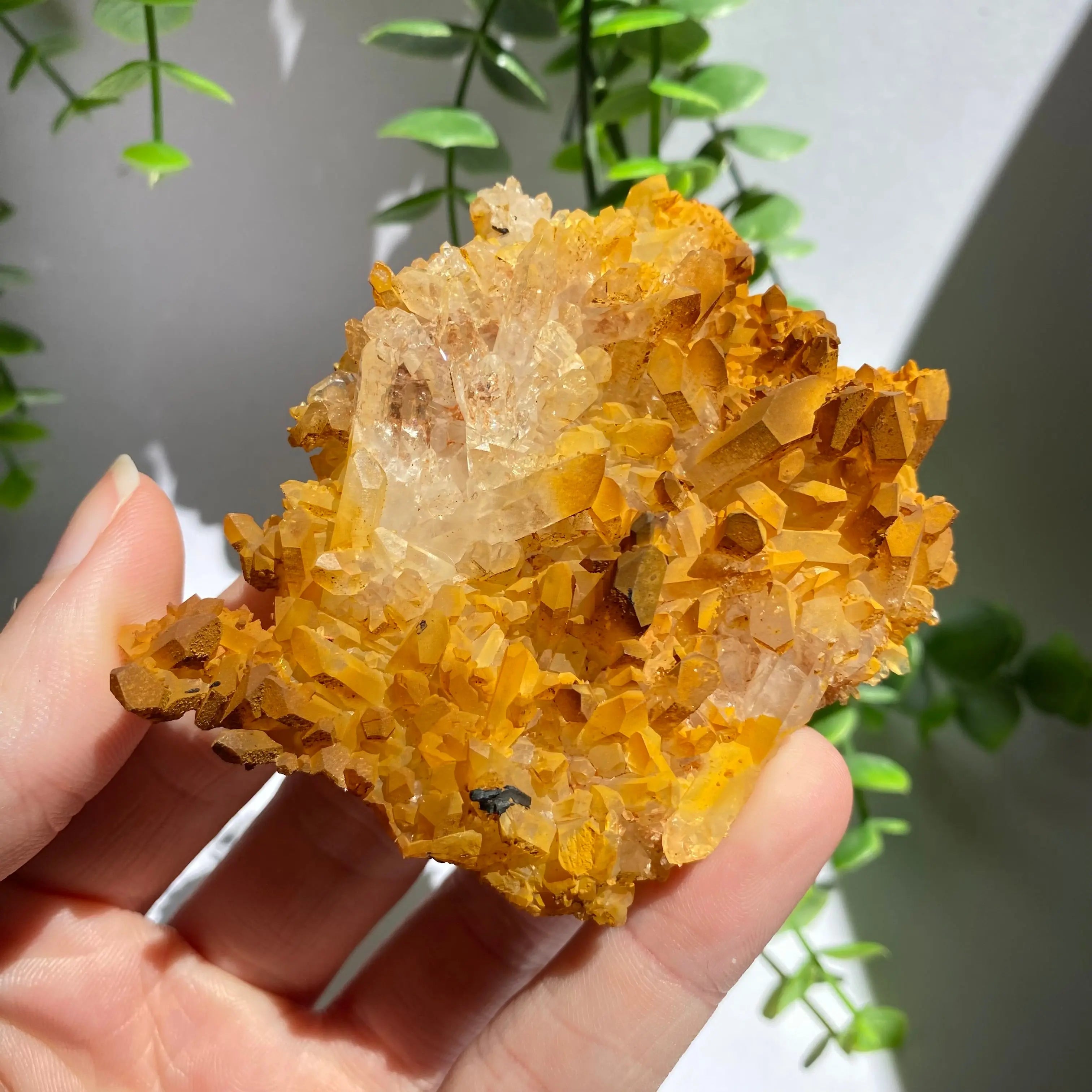Golden Healer Cluster Arabella Crystals