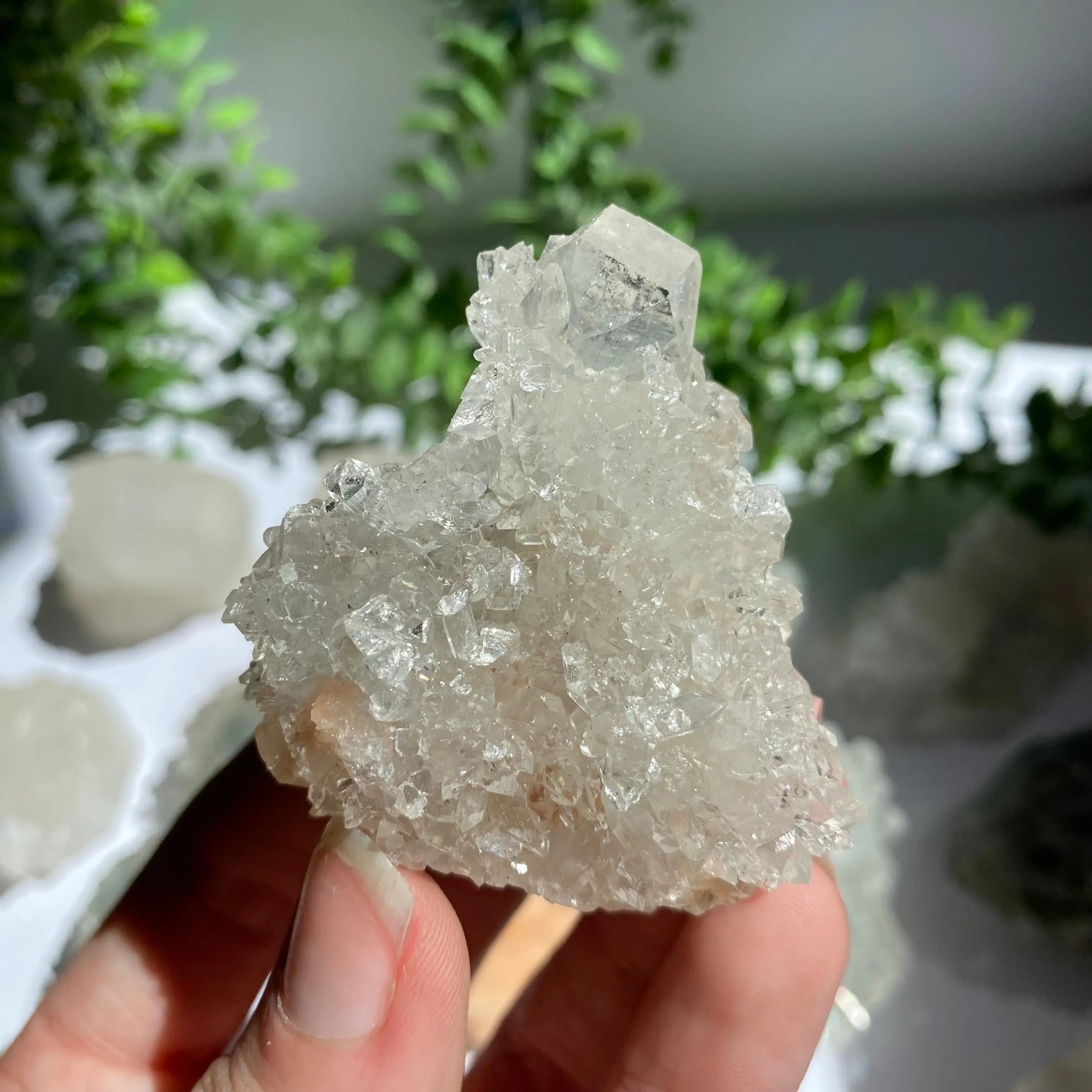 Zeolite Cluster Arabella Crystals