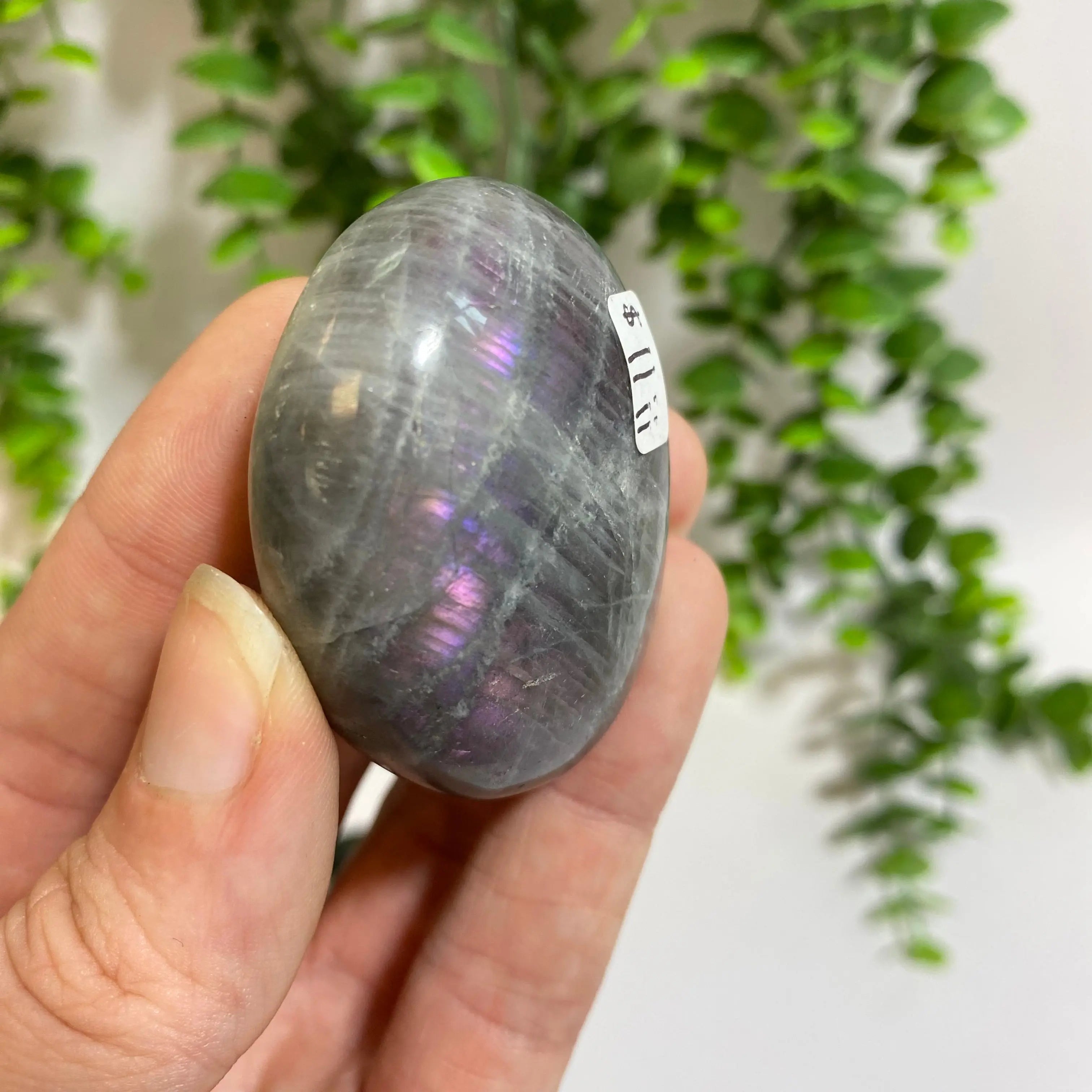 Purple Labradorite Palm Stone Arabella Crystals